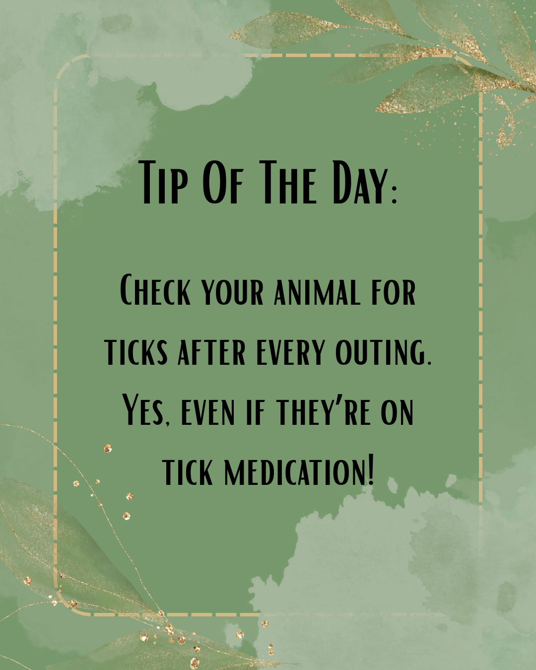 The Season Of The Ticks