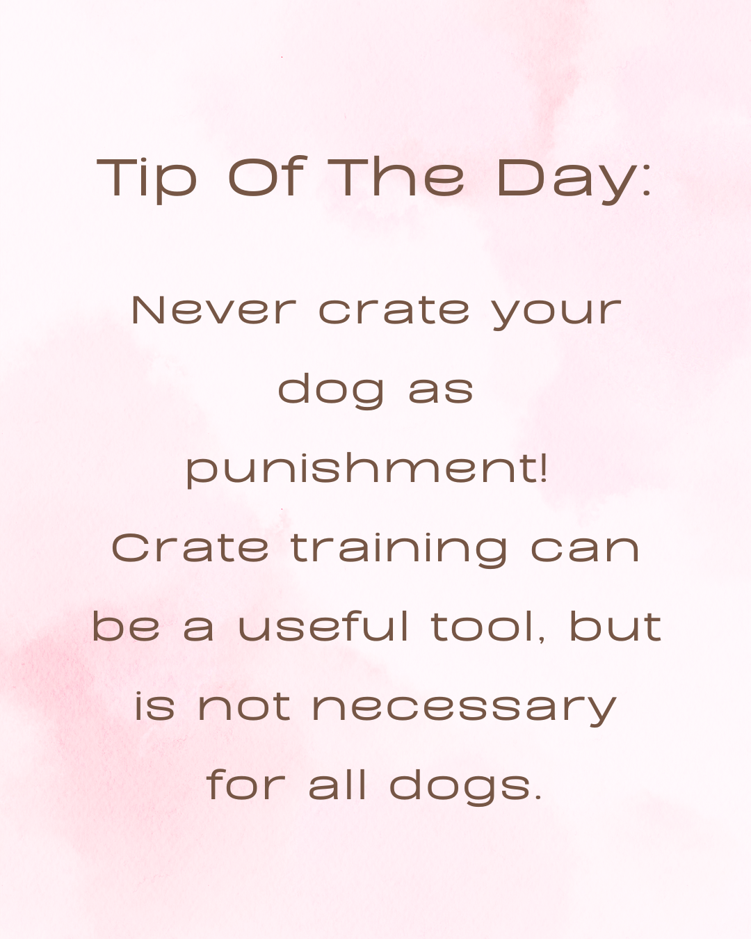 Why Crate Training Isn’t Always Necessary