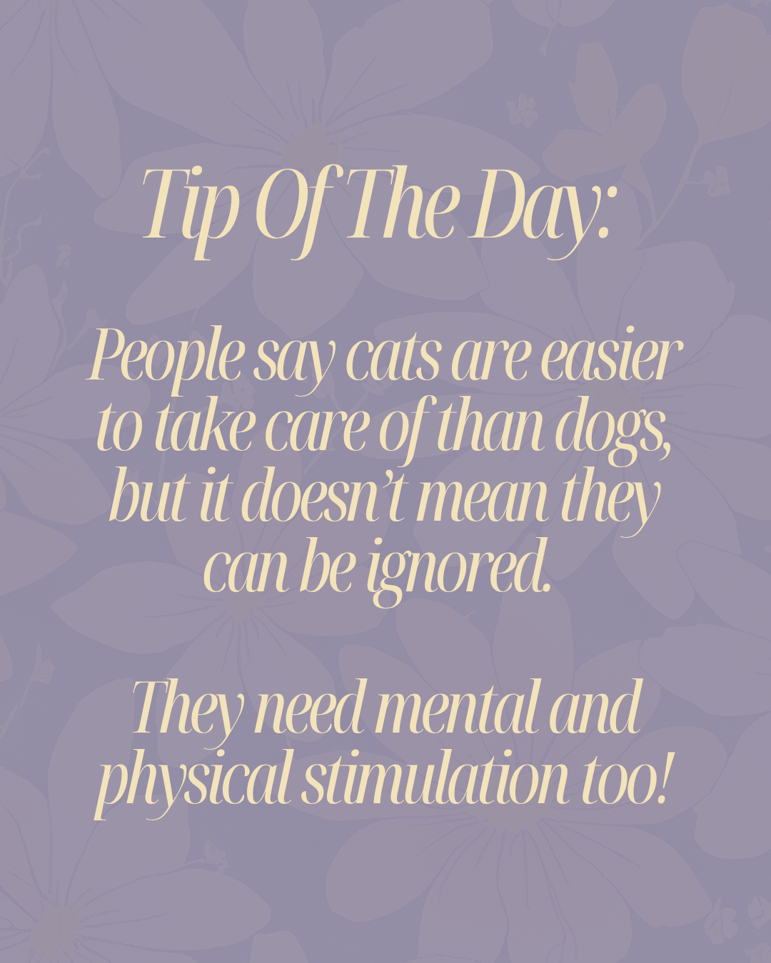 Cats Are Smart Too!