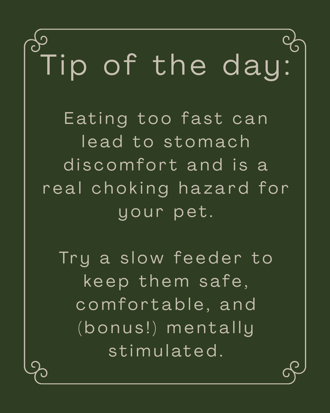 Slow Down Speed Eaters