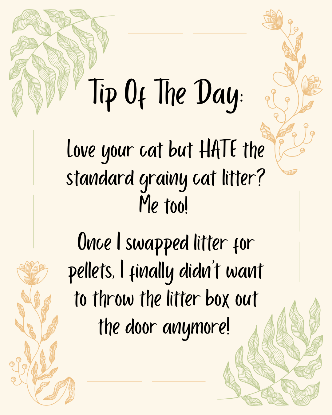 Kitty Litter? I Think Not.