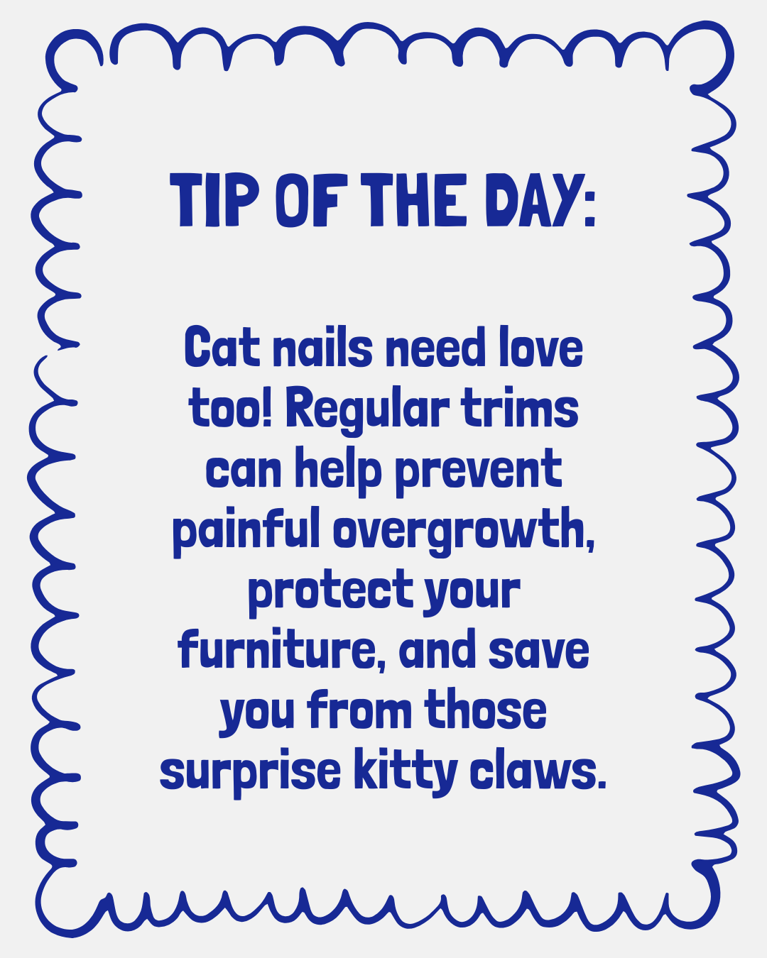 Do Cats Need Their Nails Trimmed?
