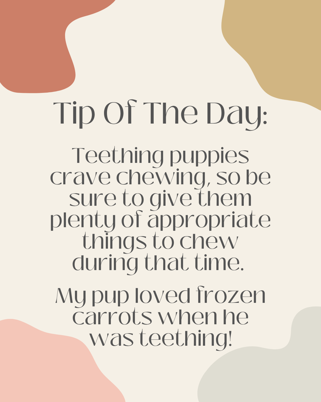 Teething Puppy Tips
