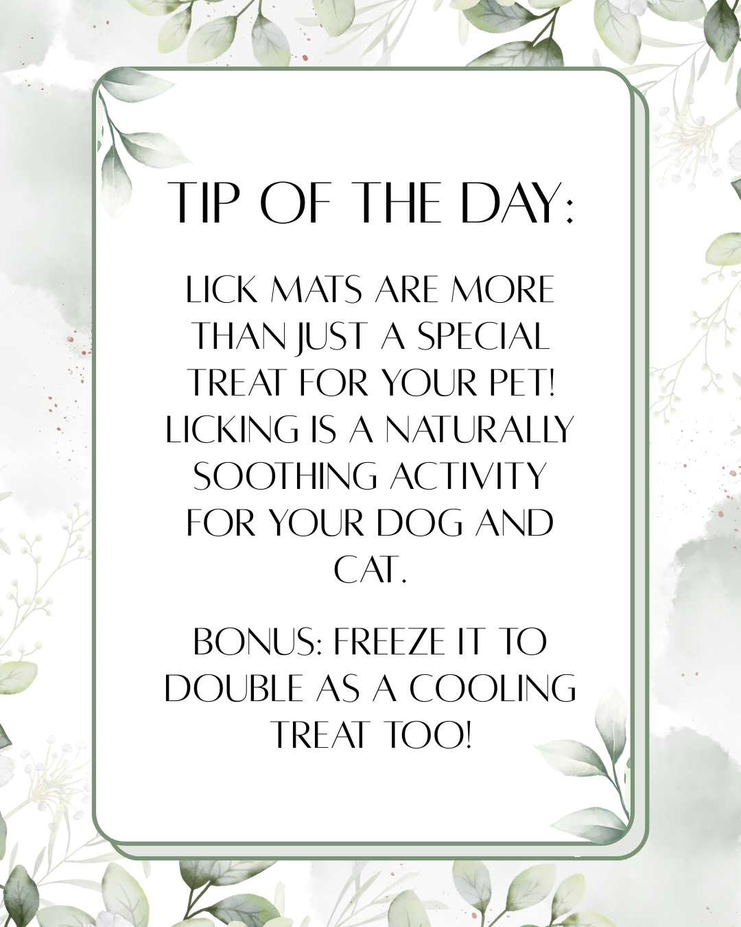 Lick Mats: More Than Just A Treat