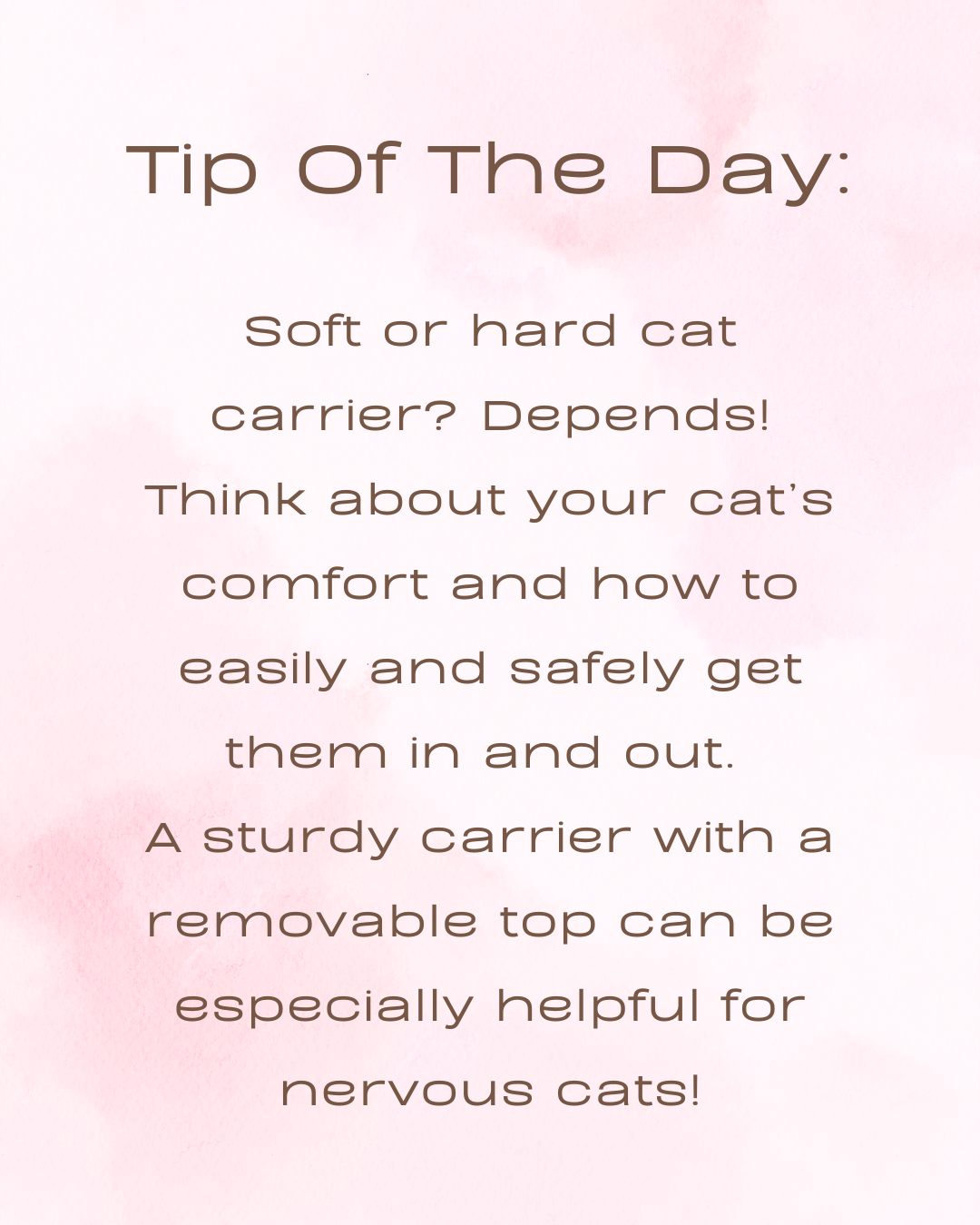 Soft Or Hard? Cat Carriers, Duh.