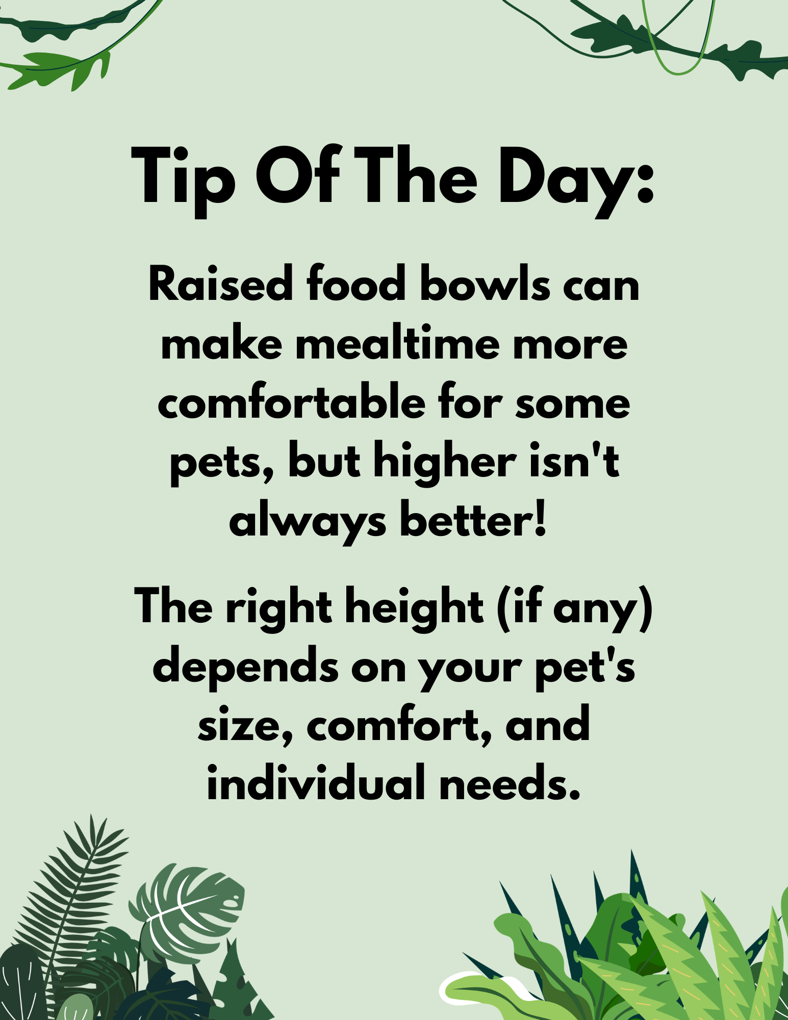 Raised Food &amp; Water Or No?