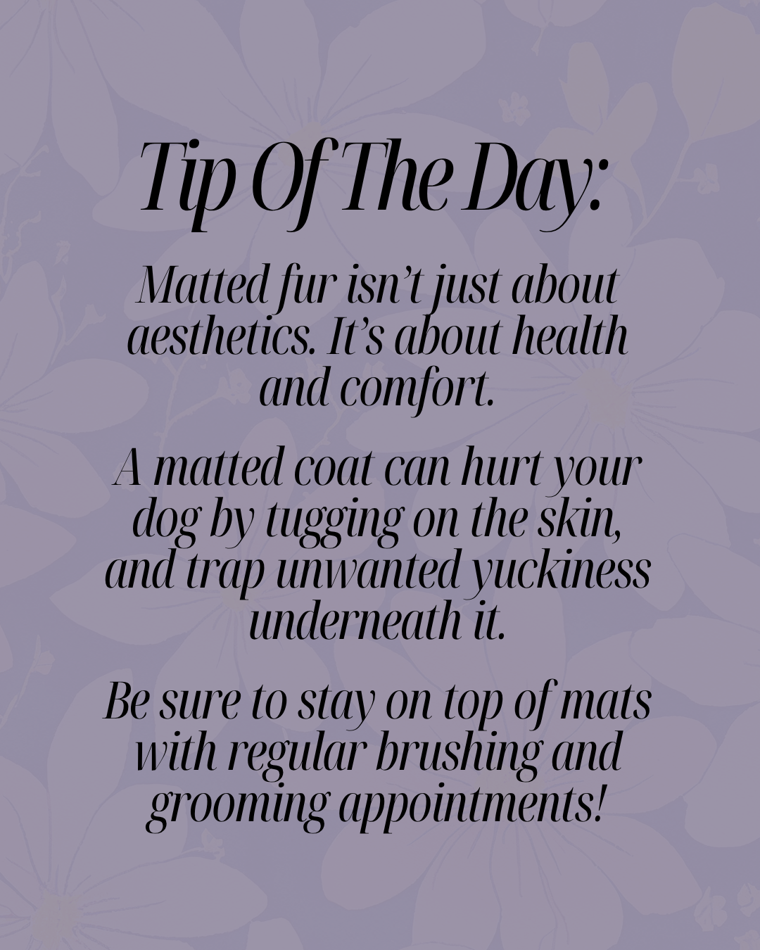What You Need To Know About Matting