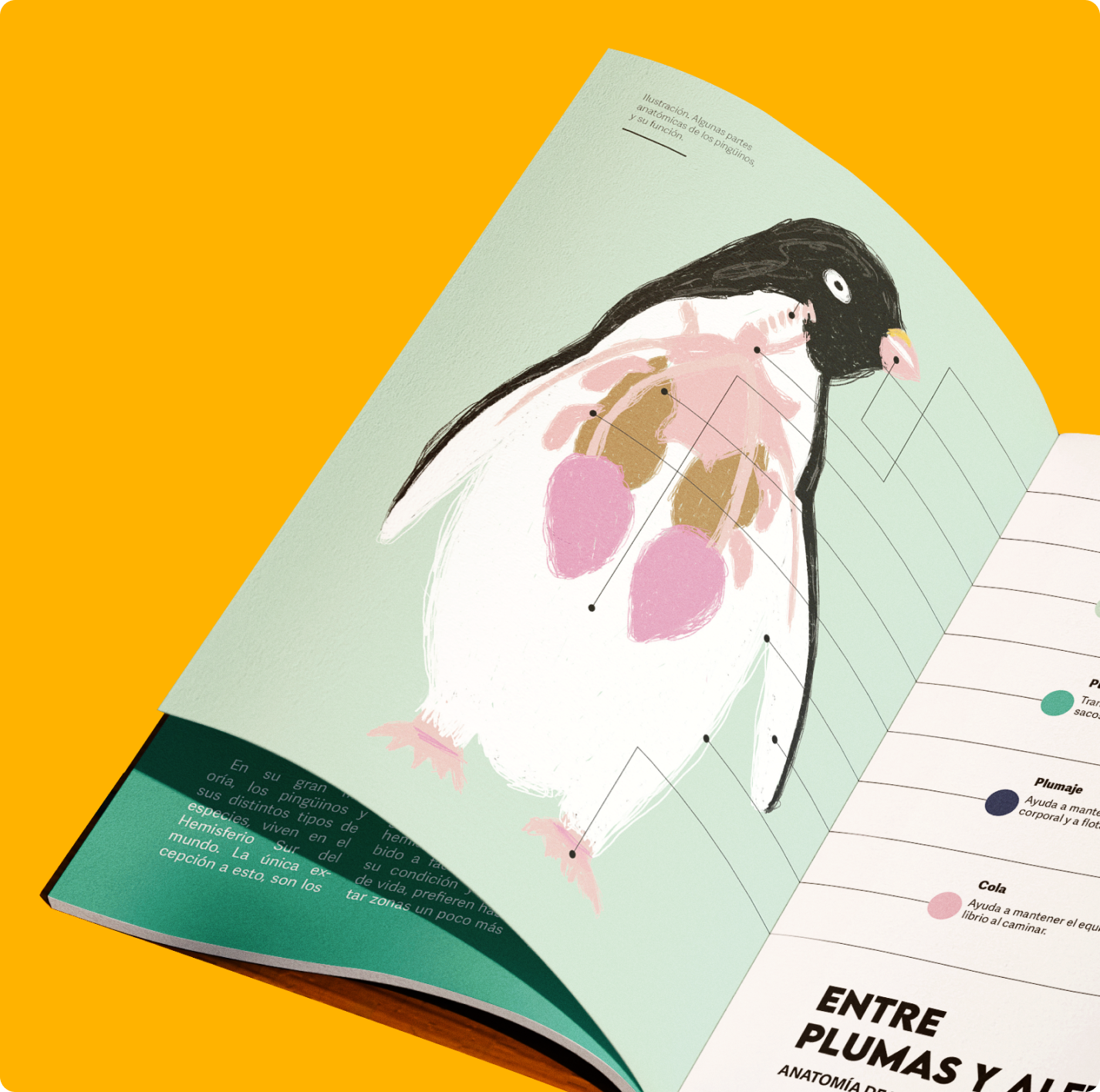 The Penguins Book