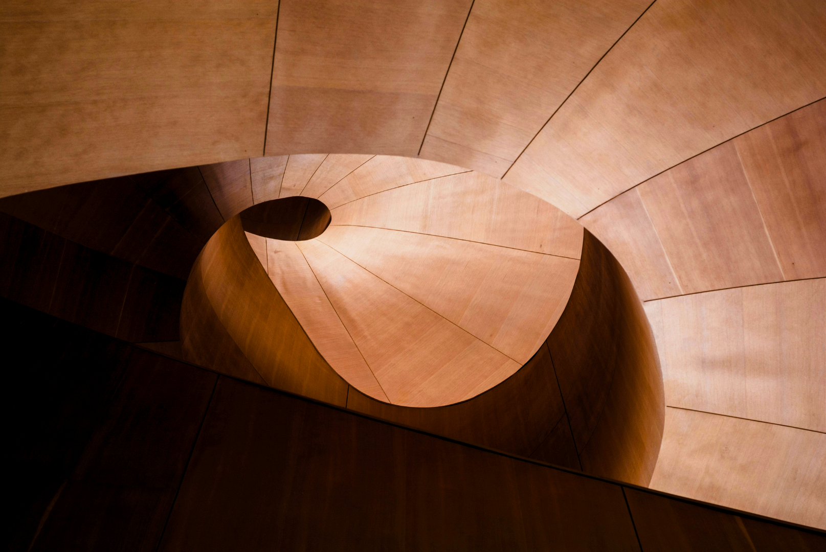 A spiral wooden staircase viewed from below, showcasing the smooth wood panels and curve design.