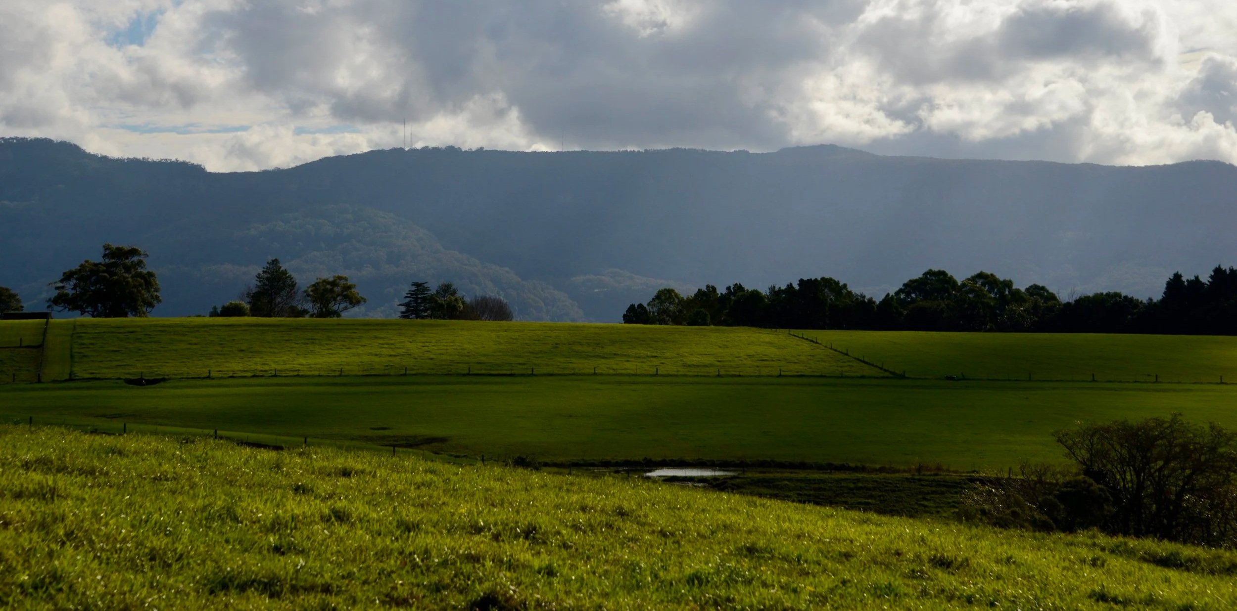 A landscape featuring a grassy field, trees, rolling hills, and mountains in the background under cloudy skies.