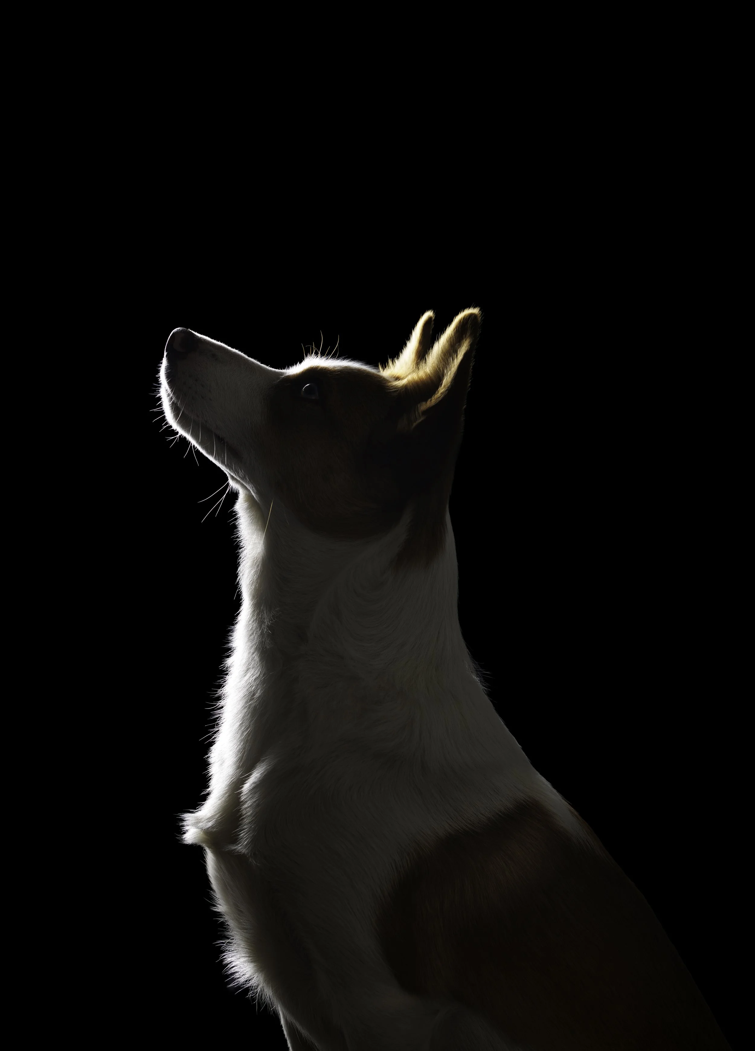 0E2A2834-Edit copy.jpg