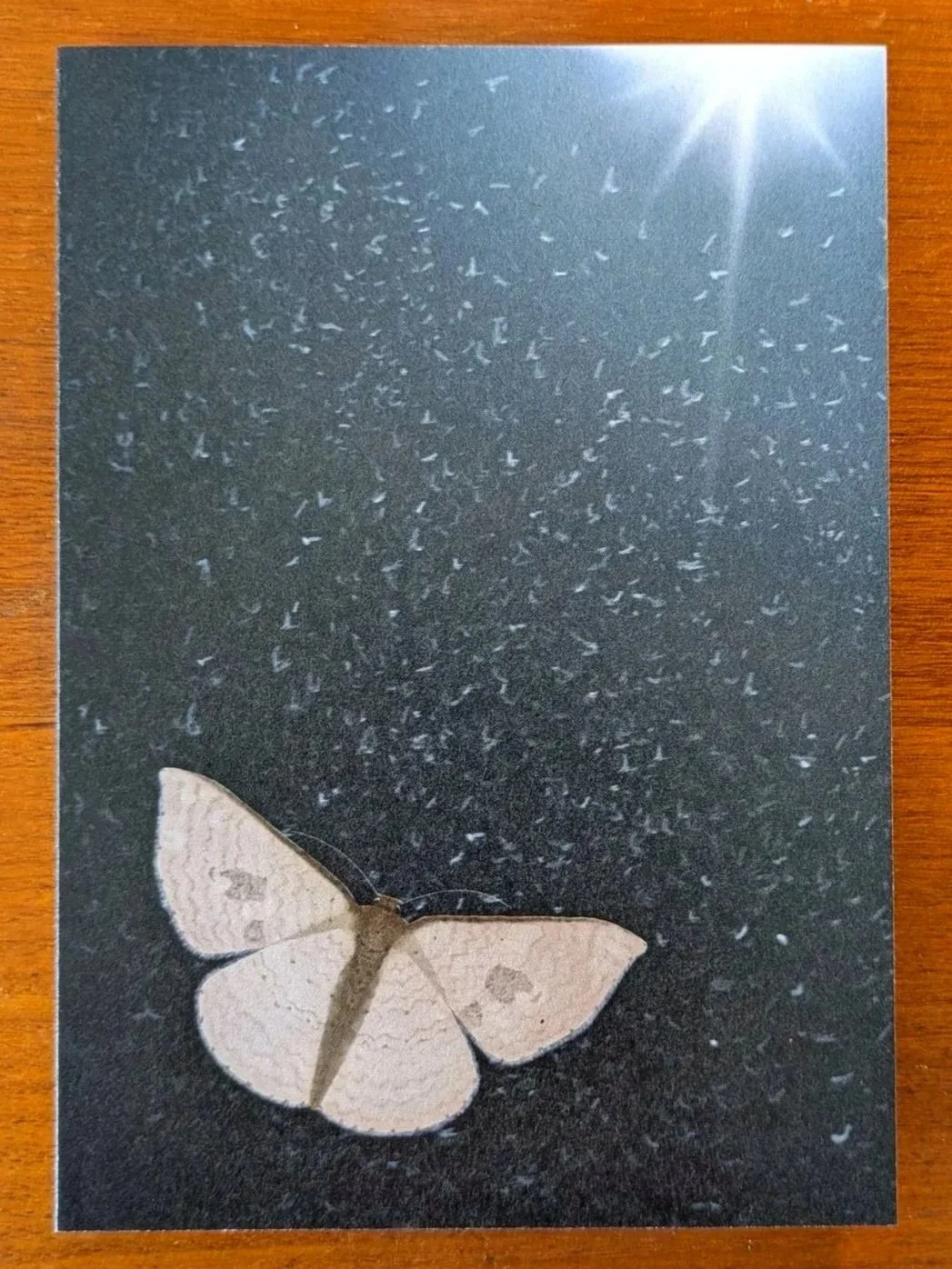 Moth 1 Card