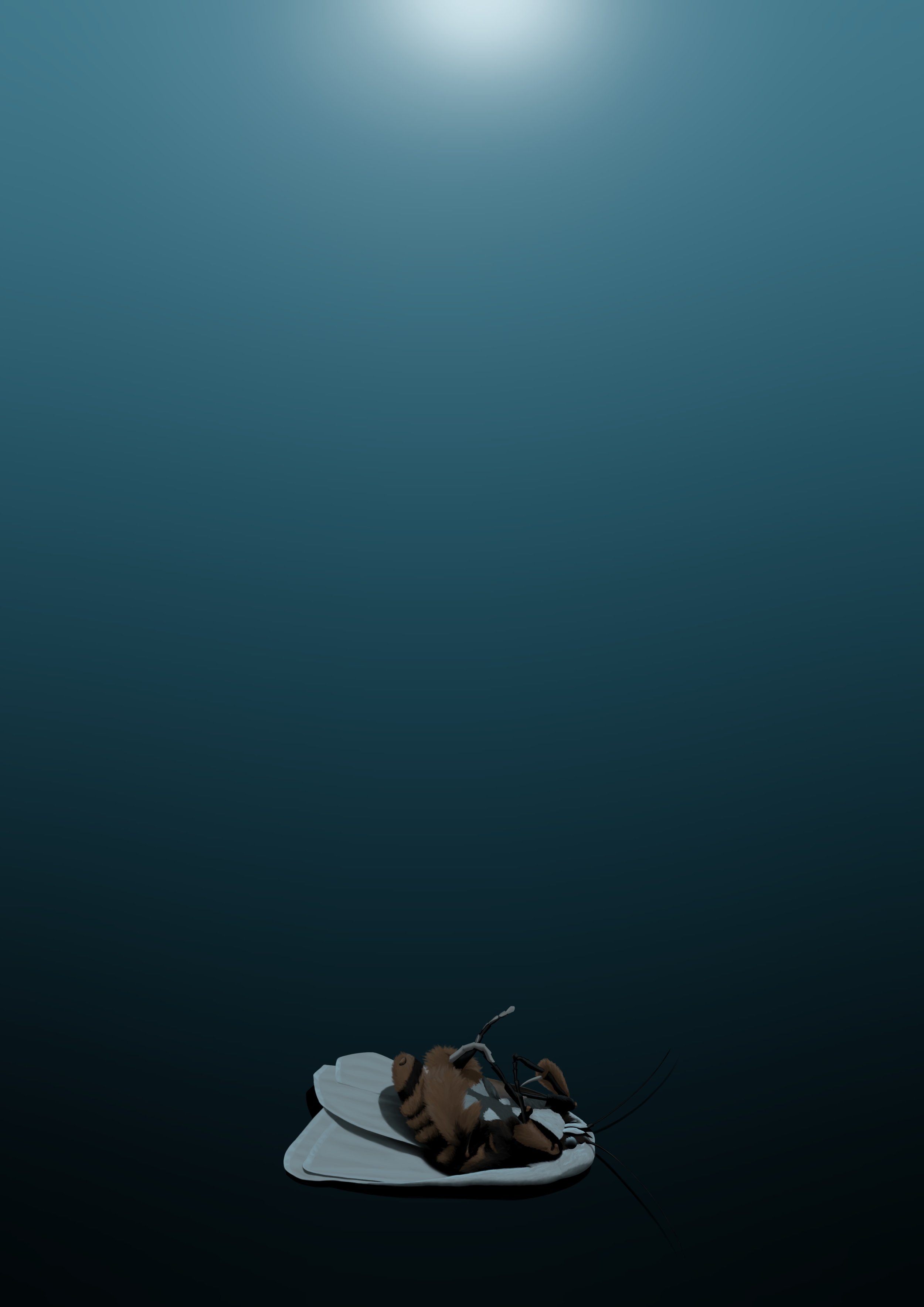 Moth_6 small.jpeg