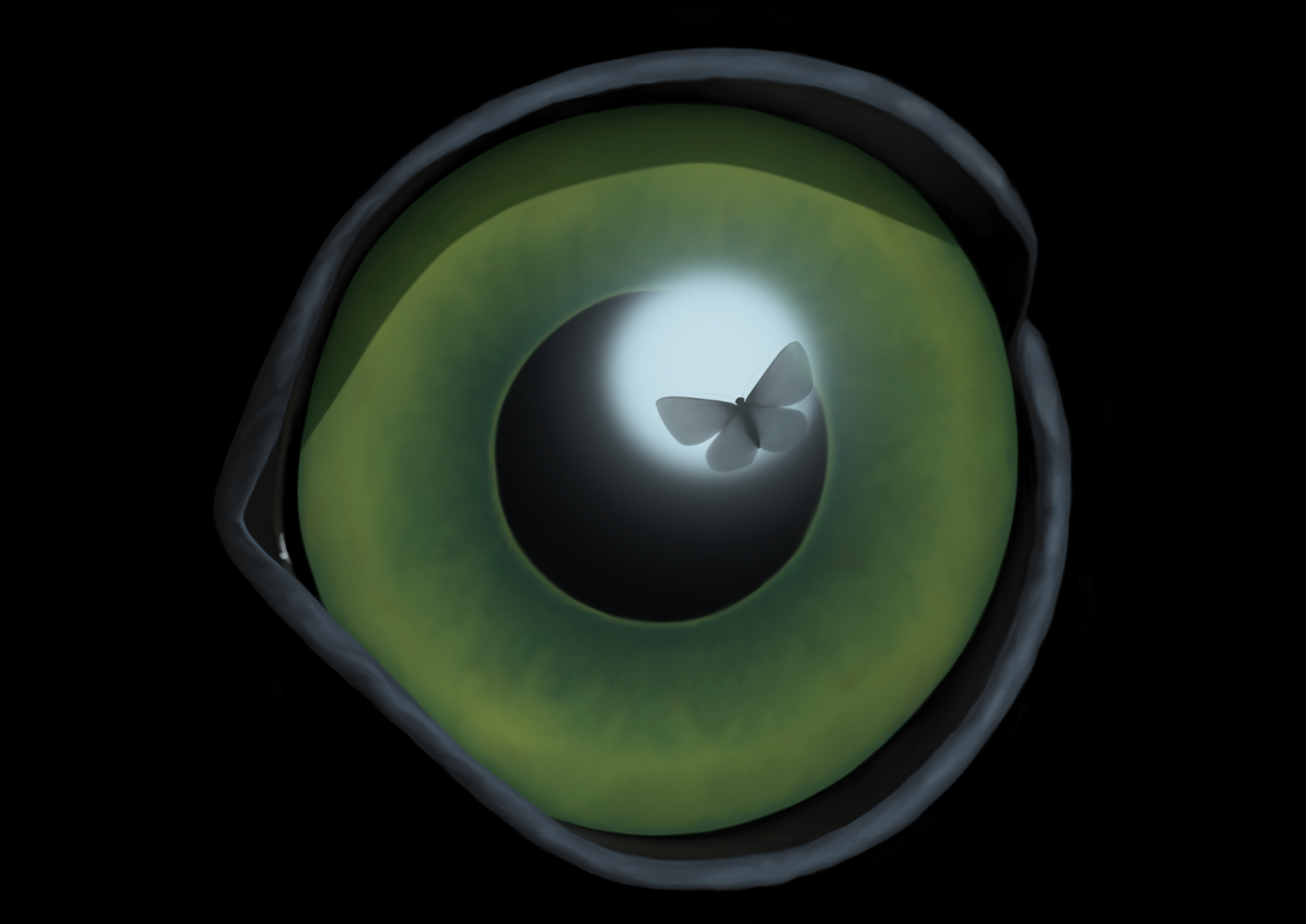 Moth_5 A2 replacement.png