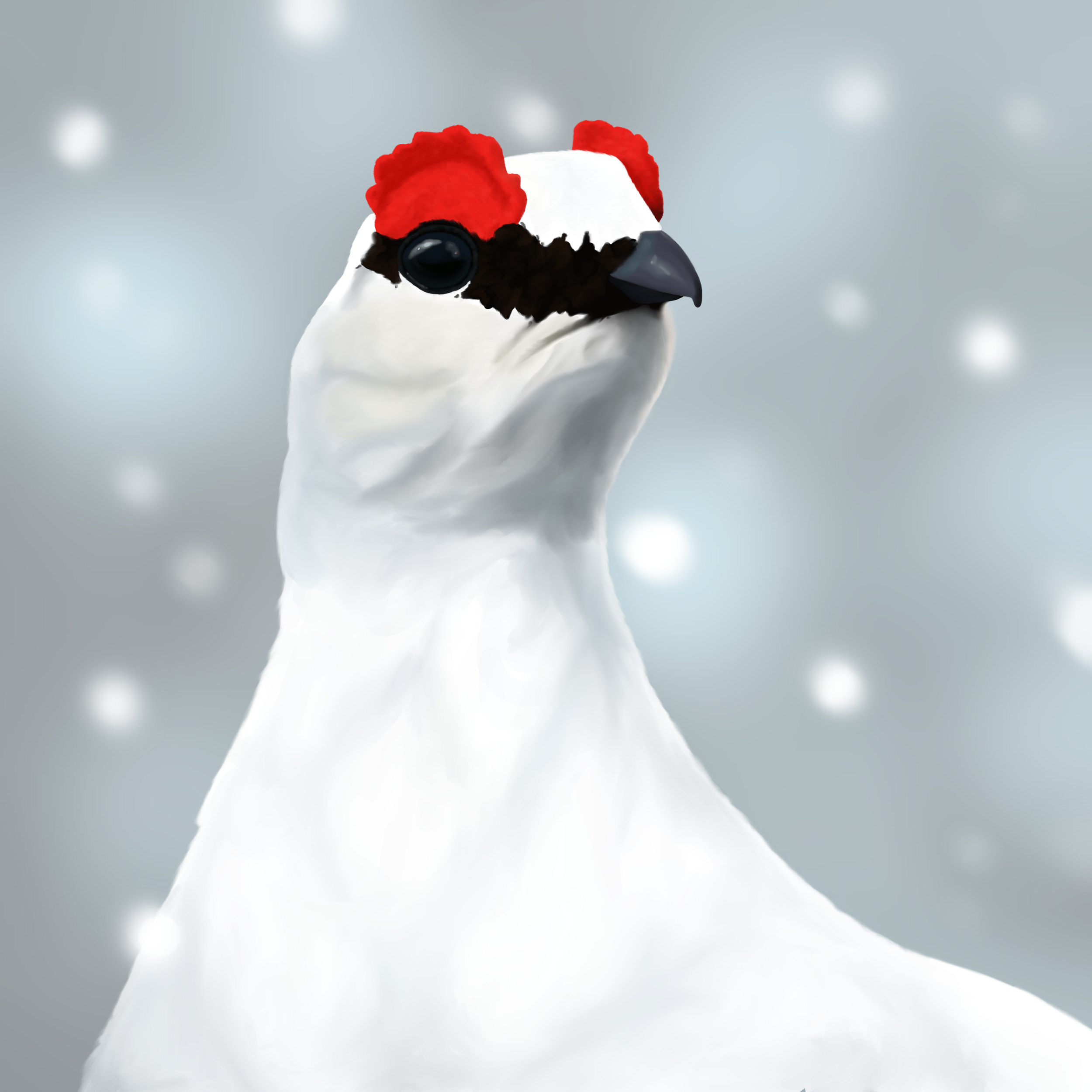 Rock Ptarmigan.png