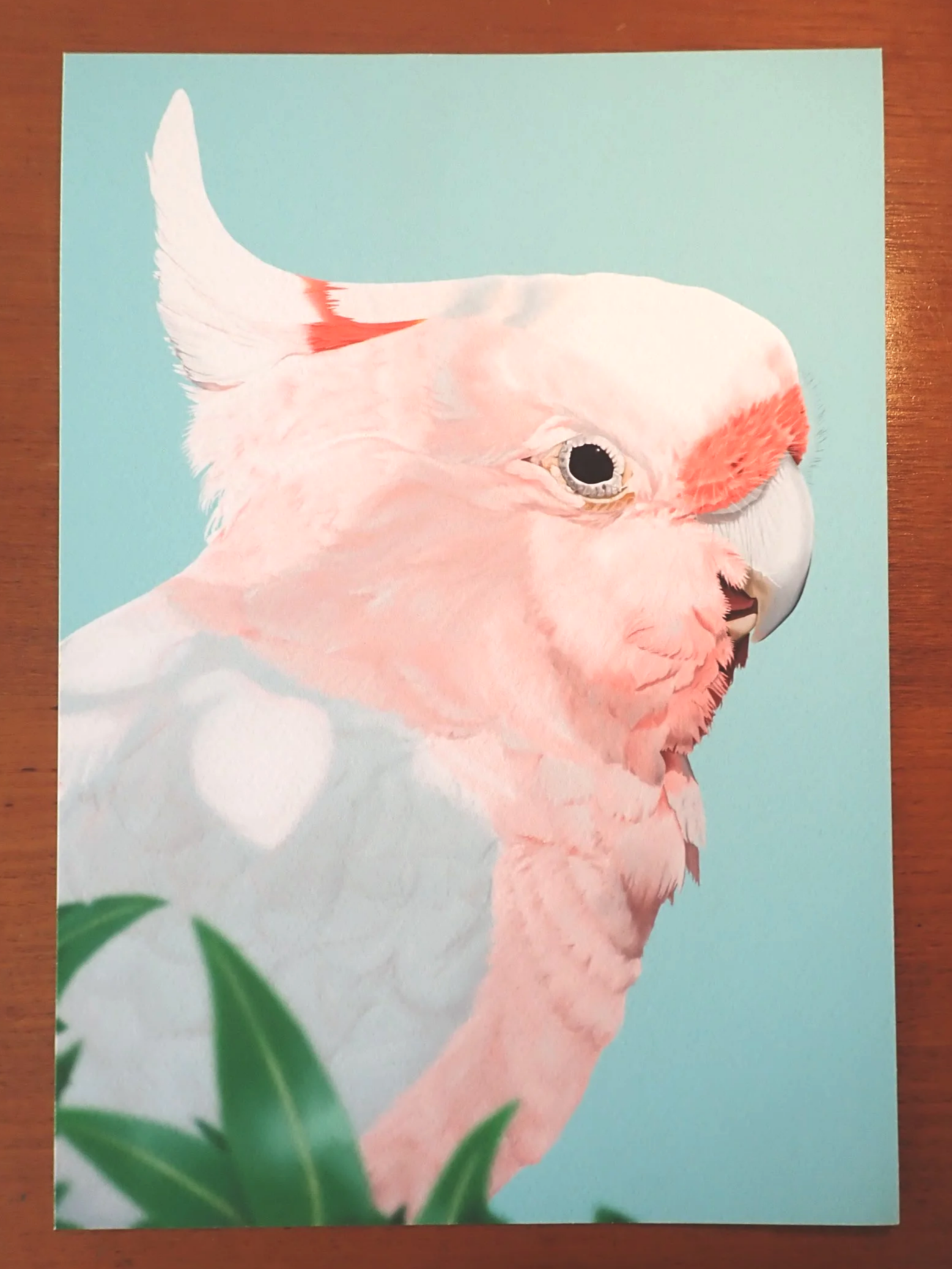 Pink Cockatoo Print (A5, A4)