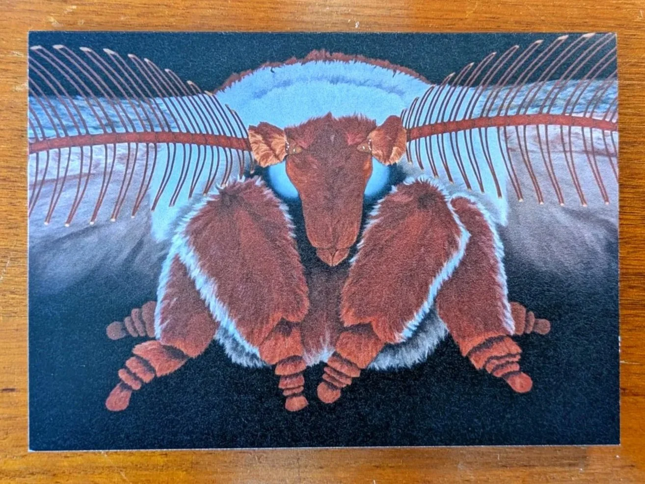 Moth 2 Card