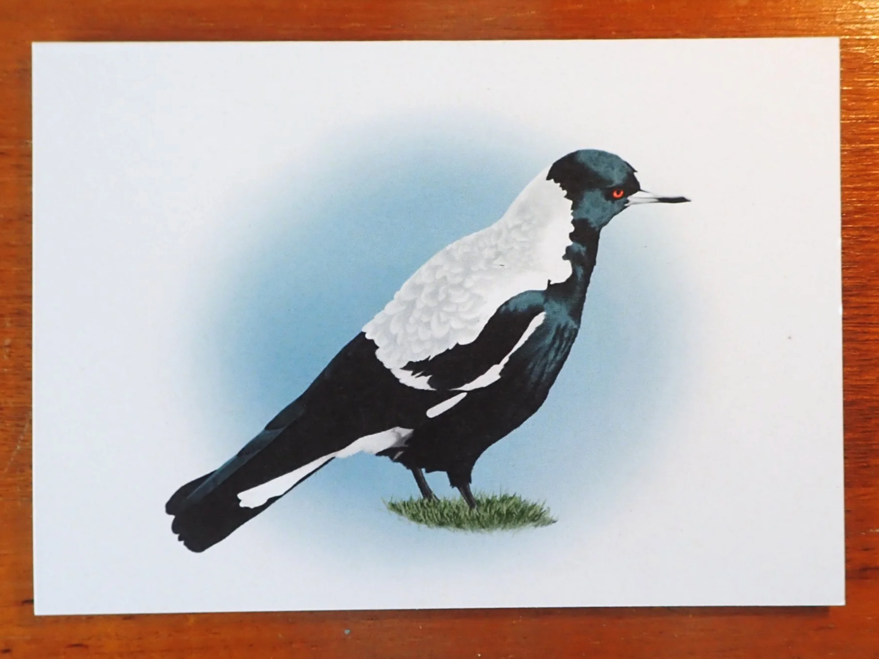 Magpie Card 3