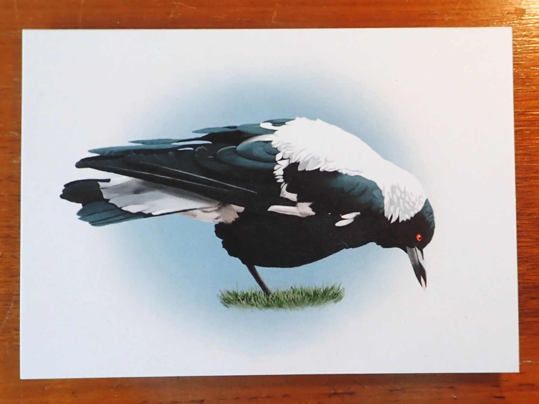 Magpie Card 1