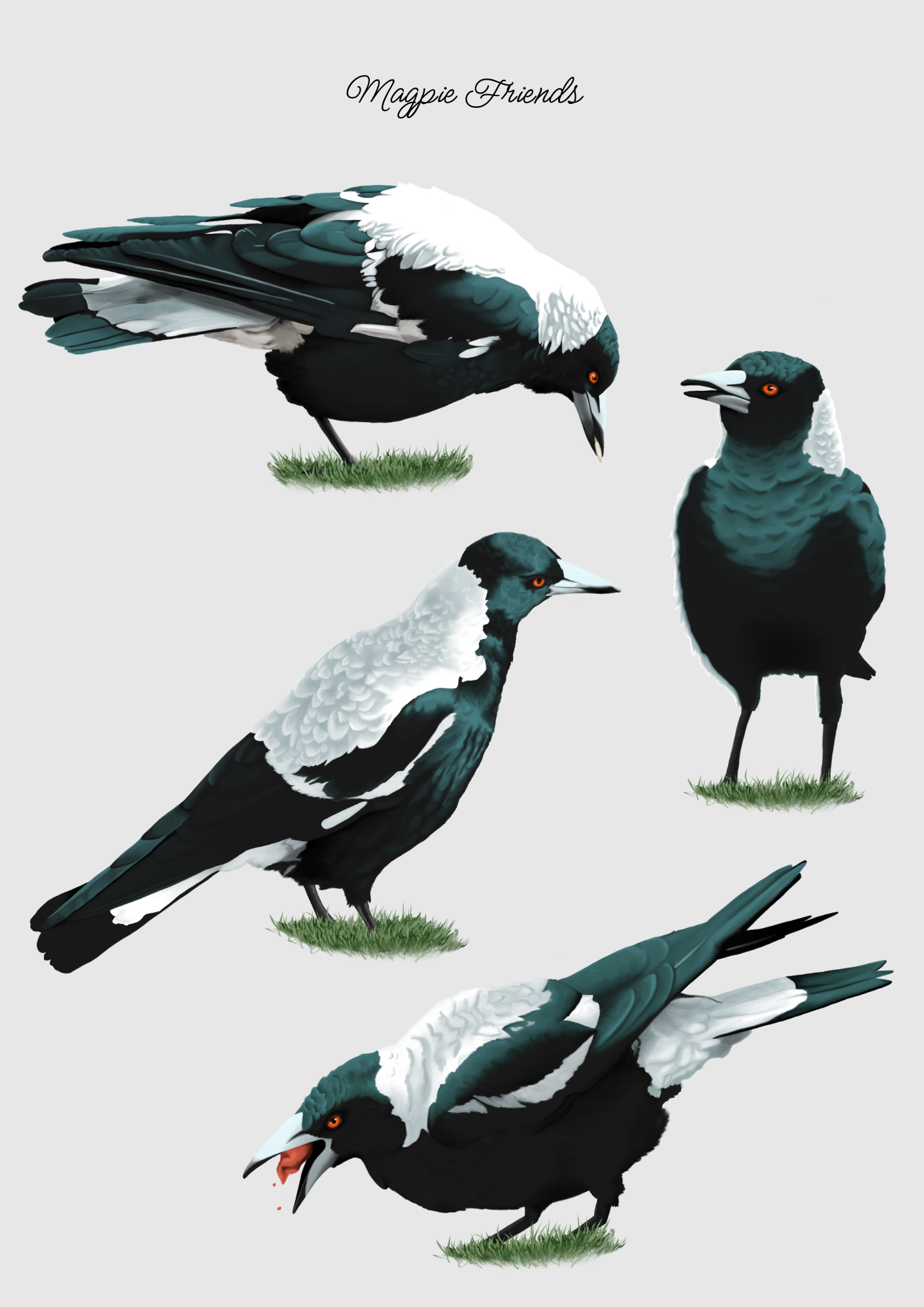 Magpie Friends  (2).png