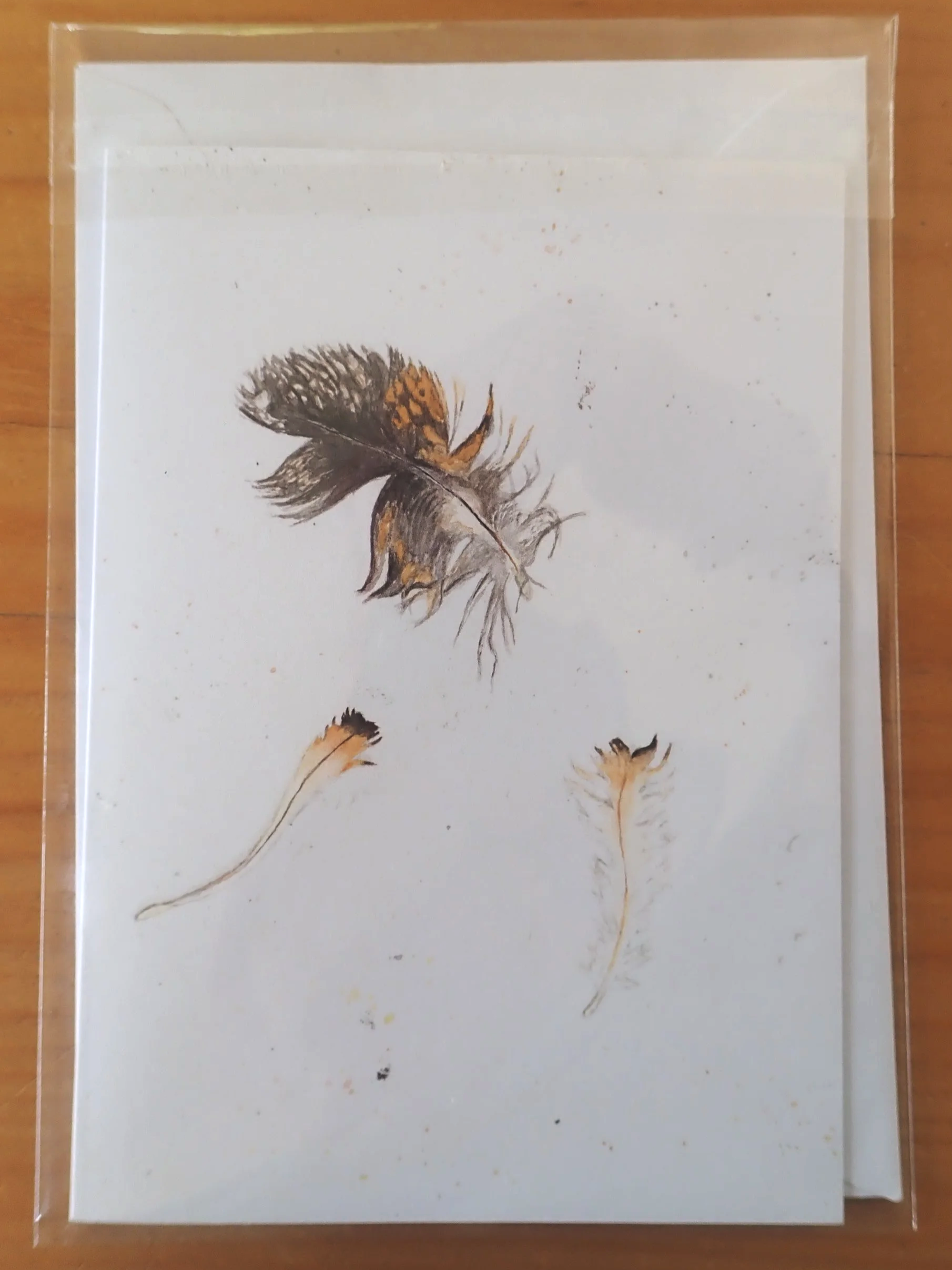 A6+Card+with+envelope+in+plastic+sleeve.png