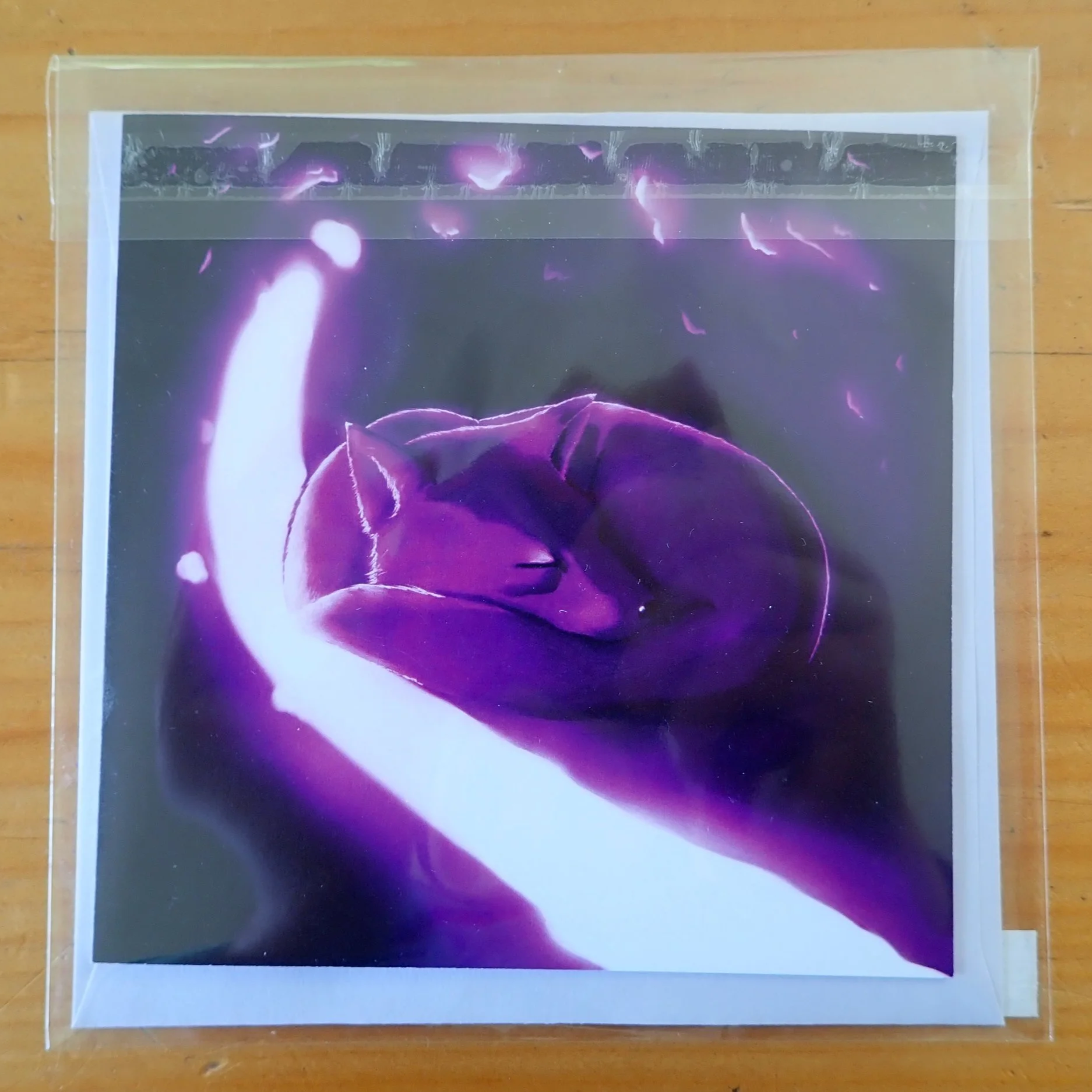 Square%2BCard%2Bwith%2Benvelope%2Bin%2Bplastic%2Bsleeve.png