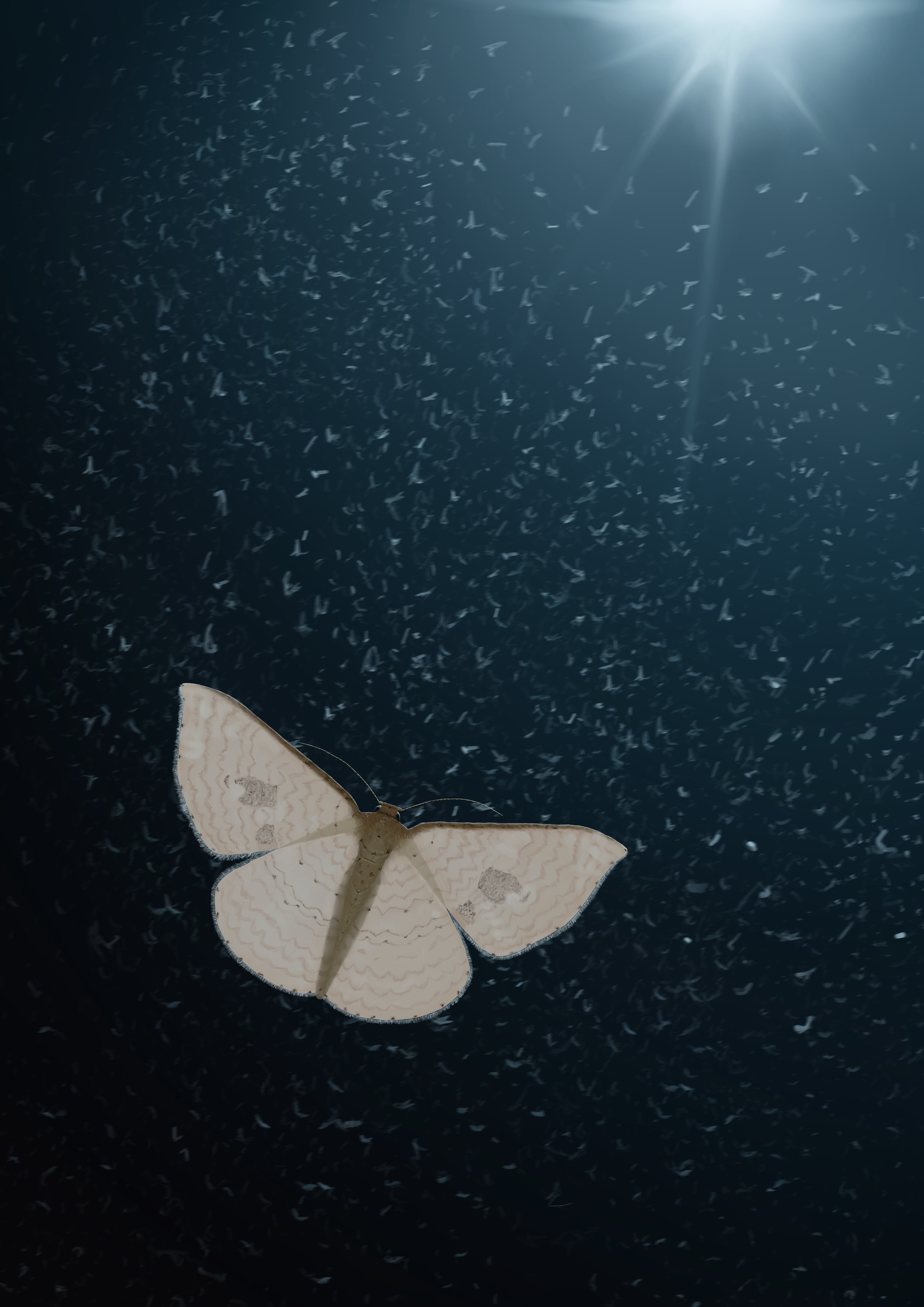 Moth_1 A2.png