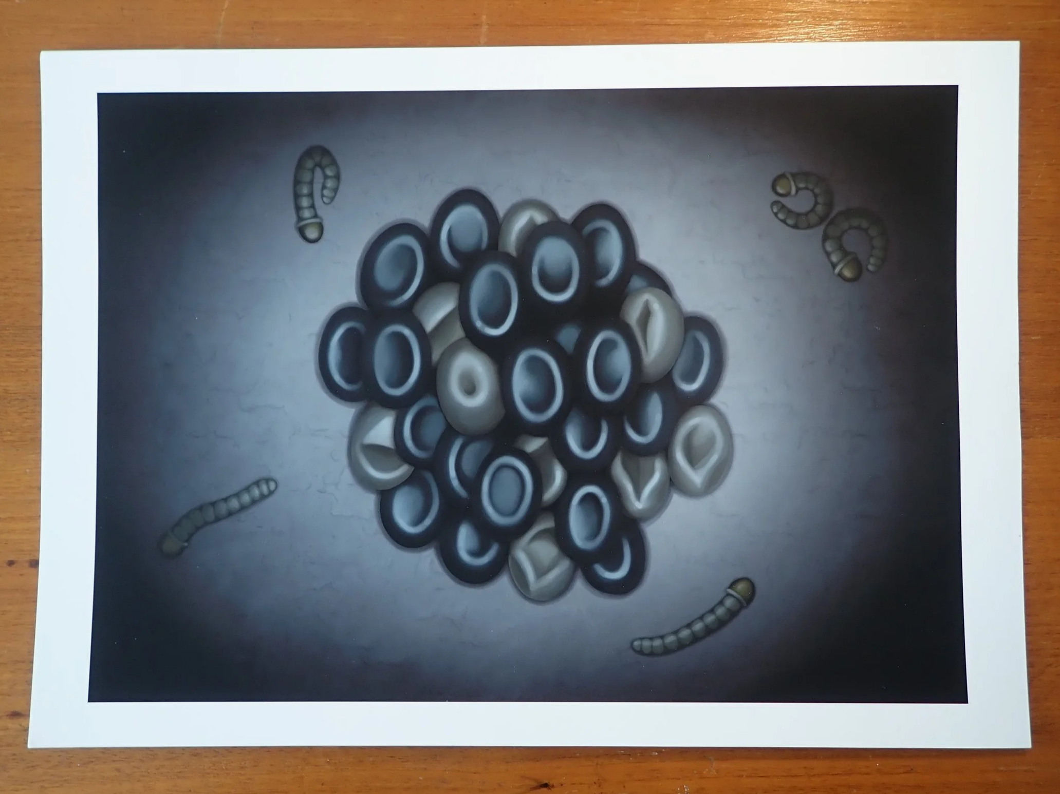 Moth 4 Print (A4)