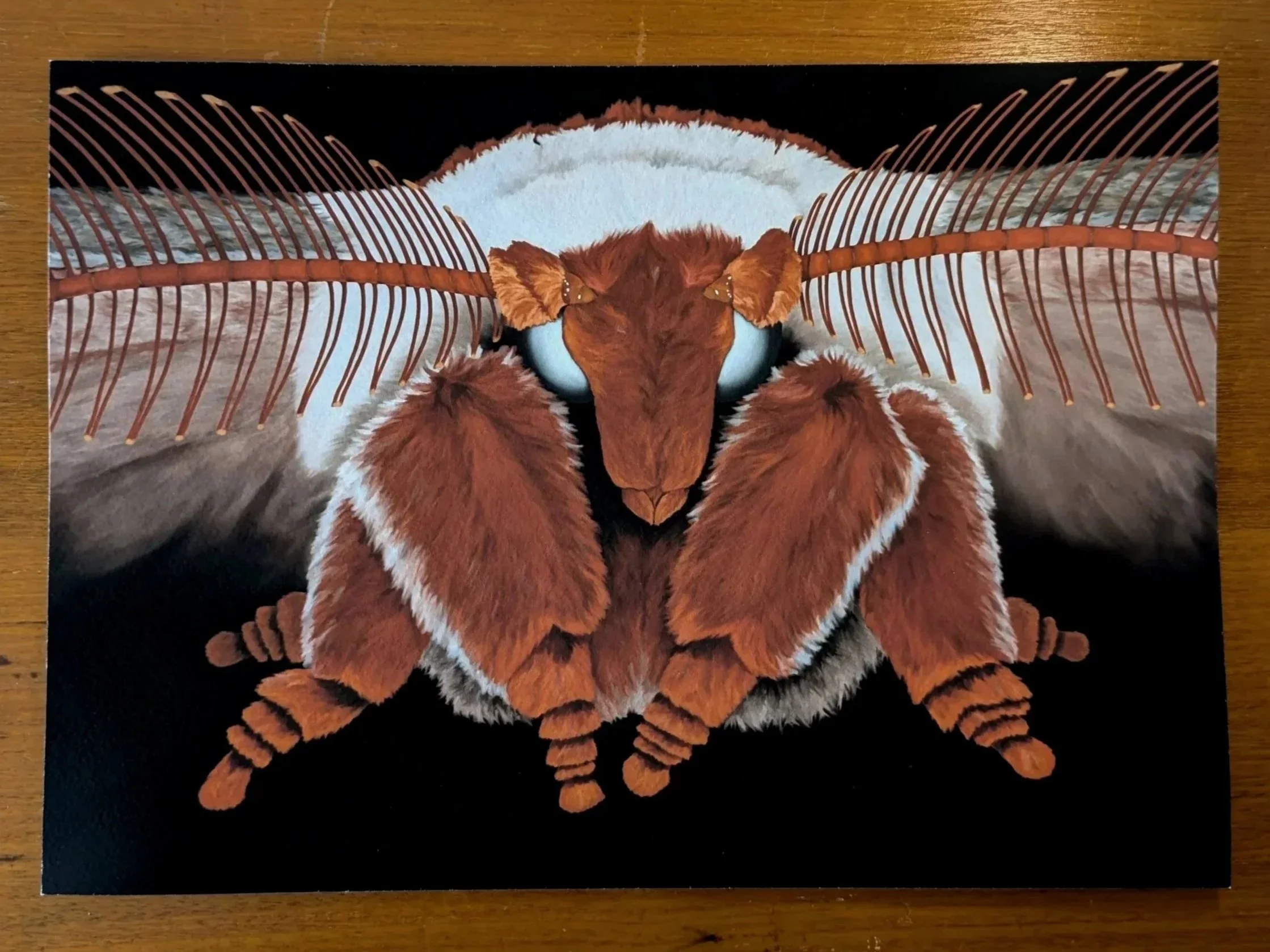 Moth 2 Print (A5, A4, A3)