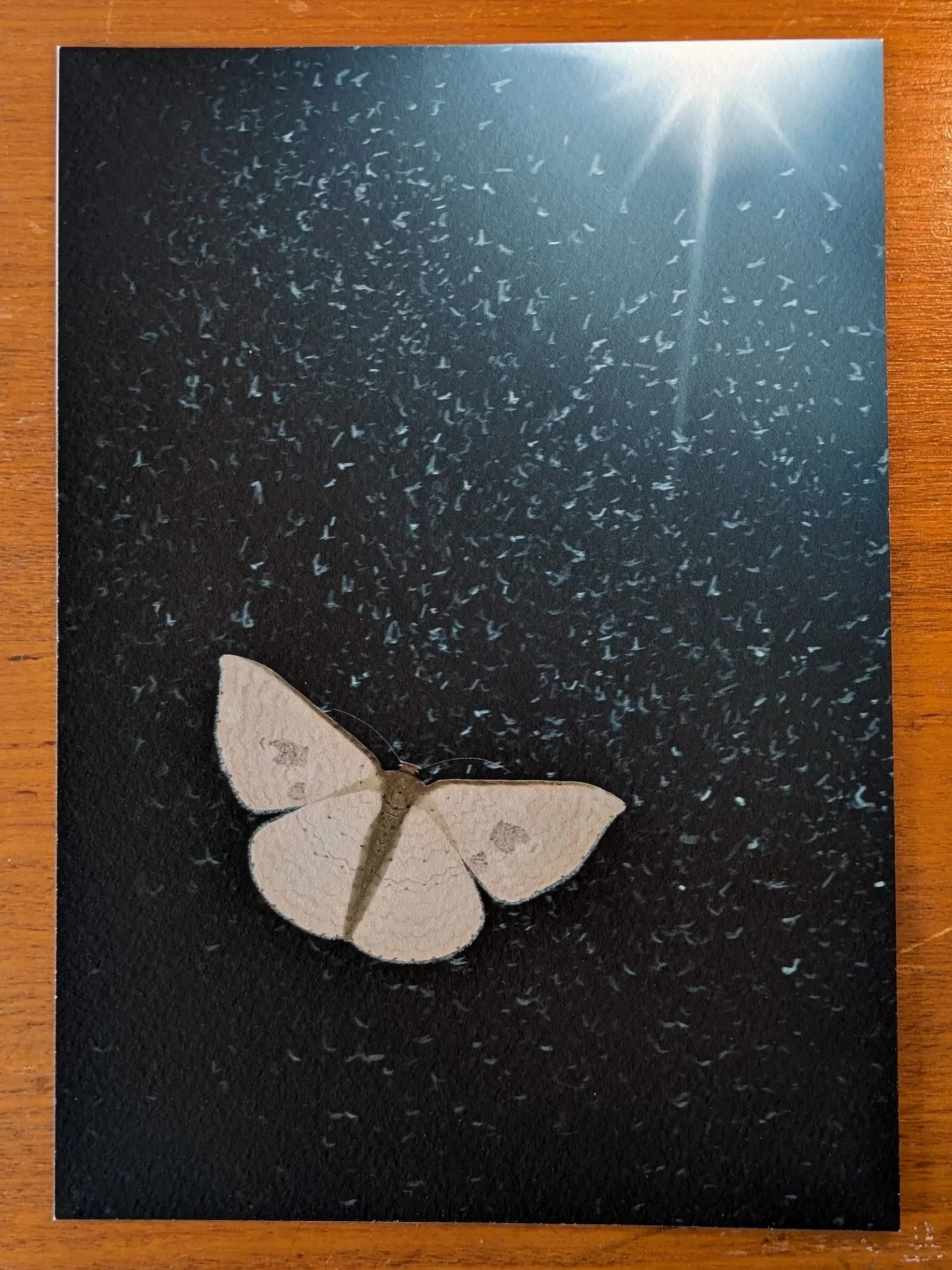 Moth 1 Print (A5, A4, A3)