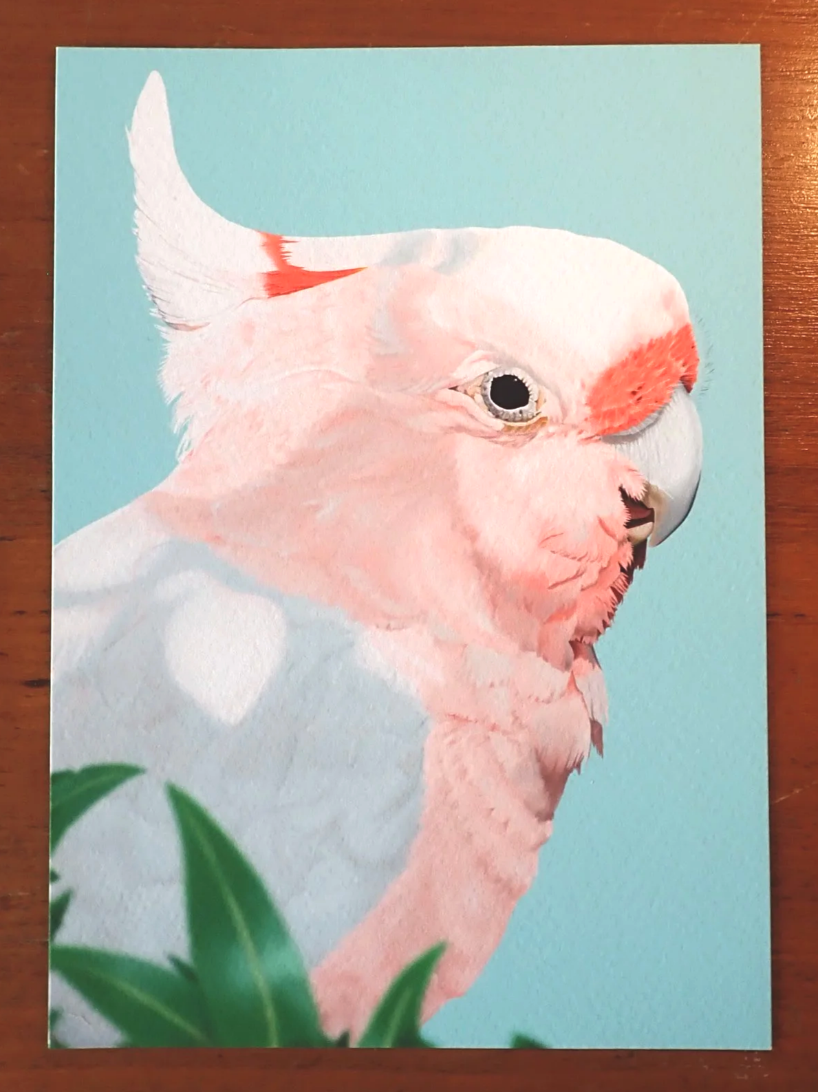 Pink Cockatoo Print (A5, A4)