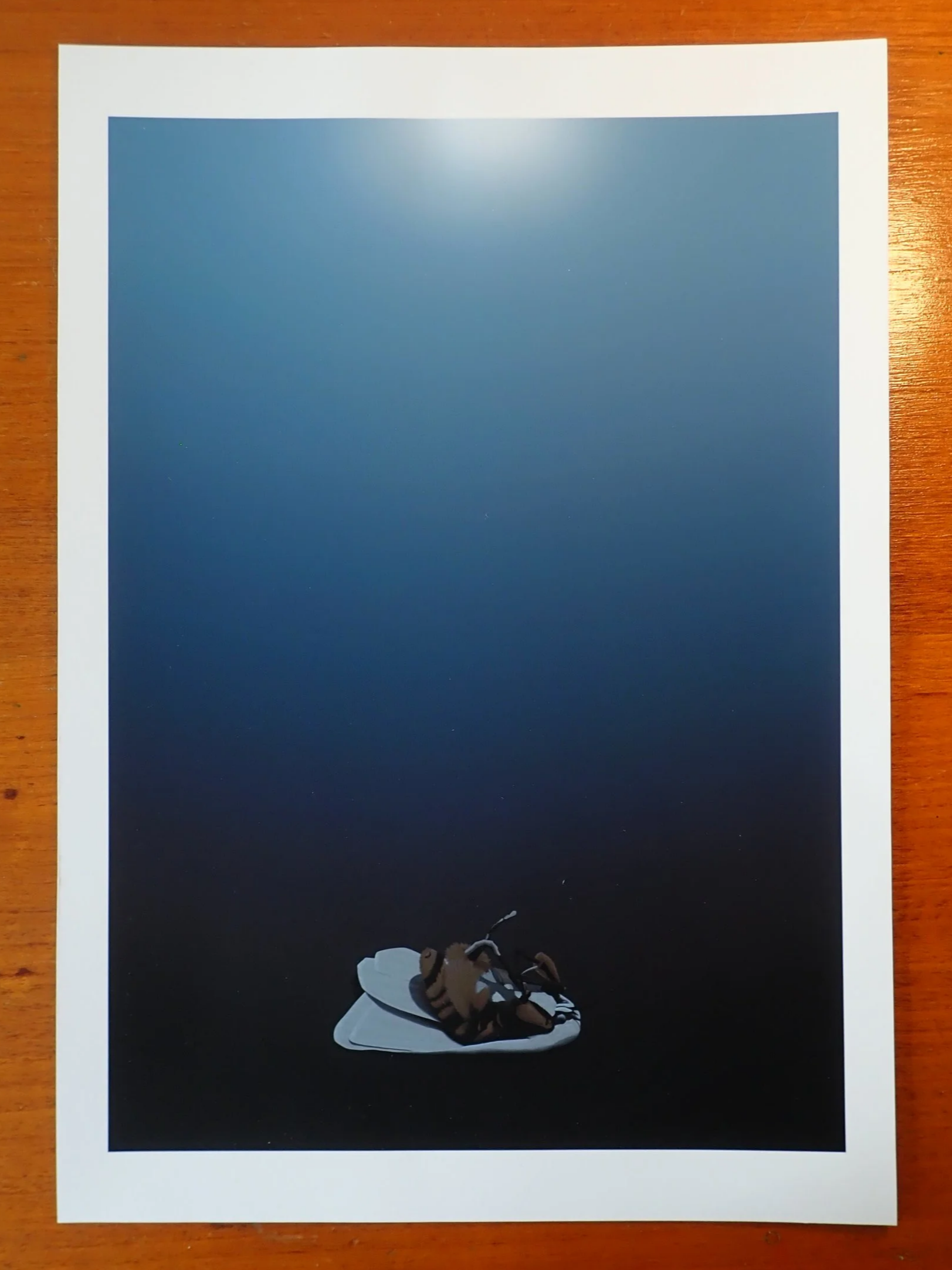 Moth 6 print (A4)