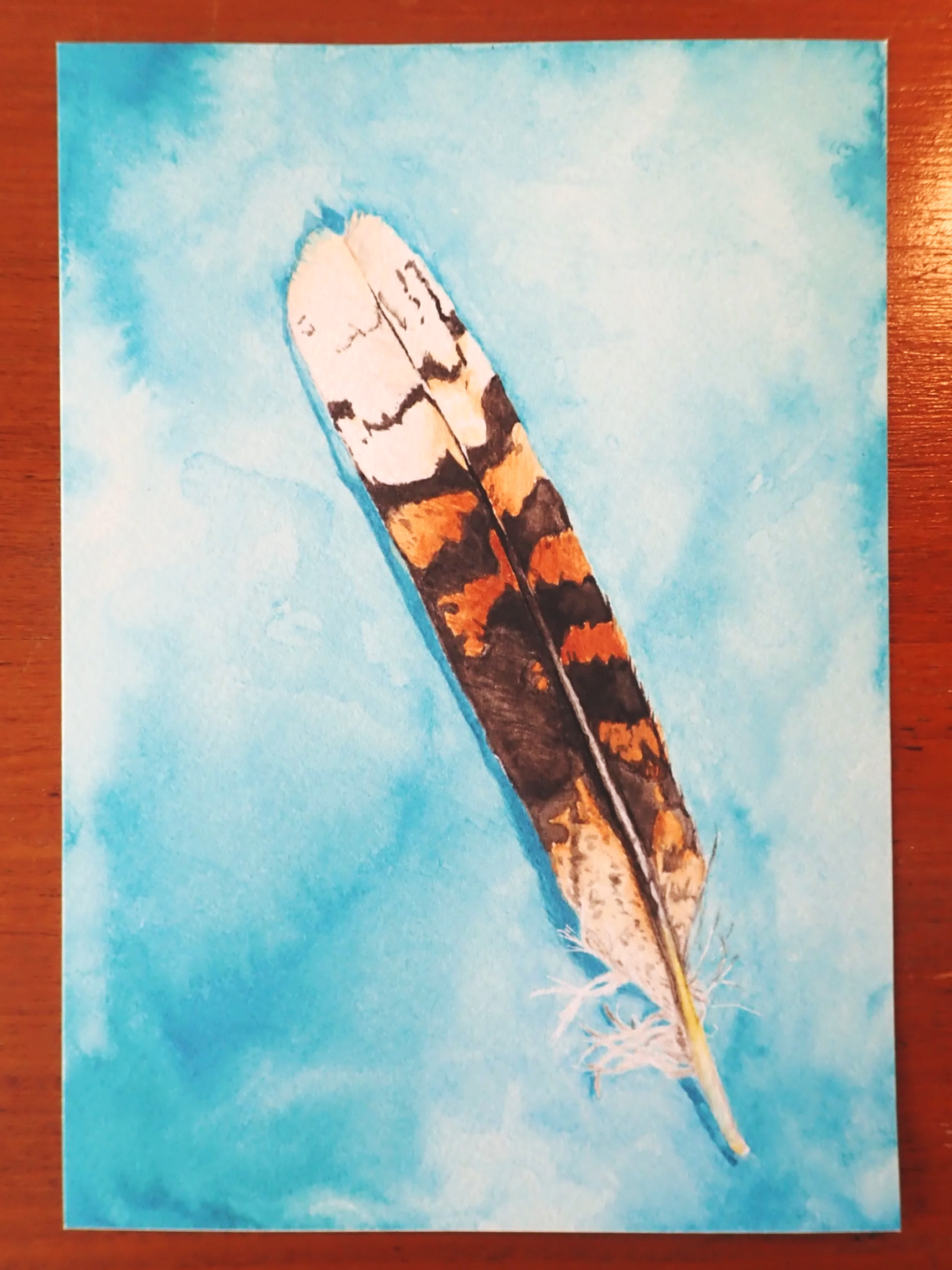 Kookaburra Feather Print (A5)