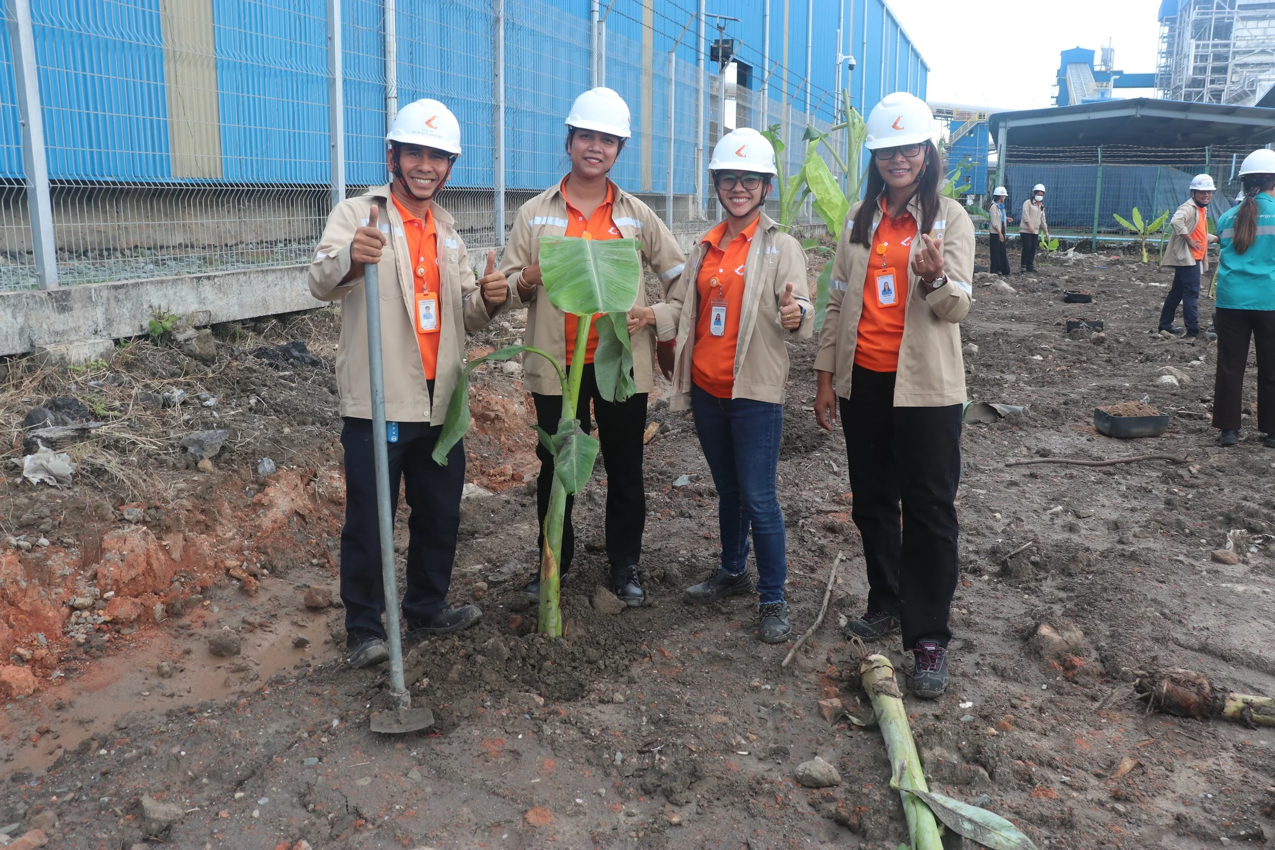 World Environment Day: Regreen Ash Yard