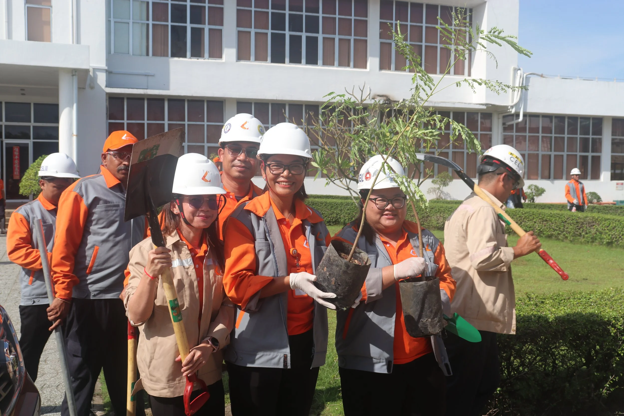 Tree Planting Activity &amp; Ash Yard Re-green