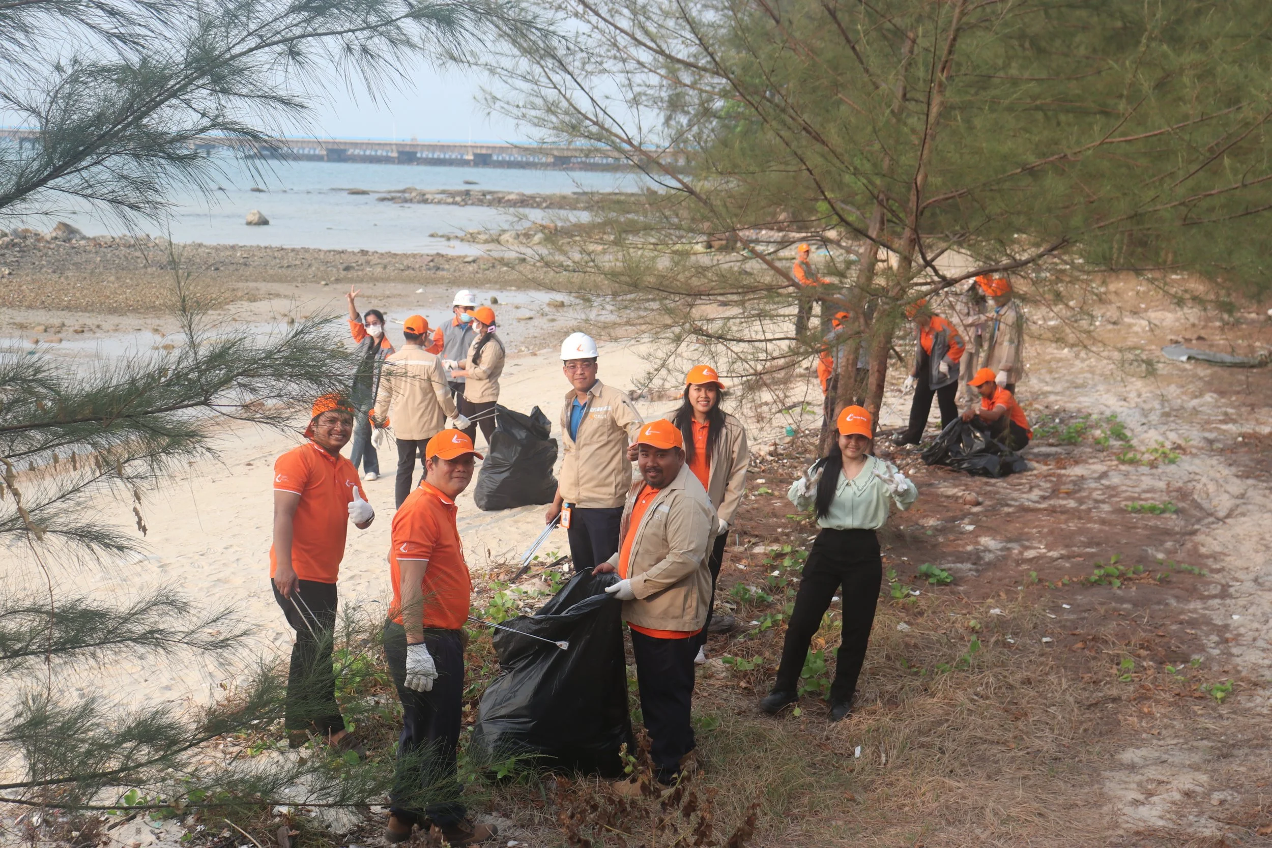 Beach Cleaning