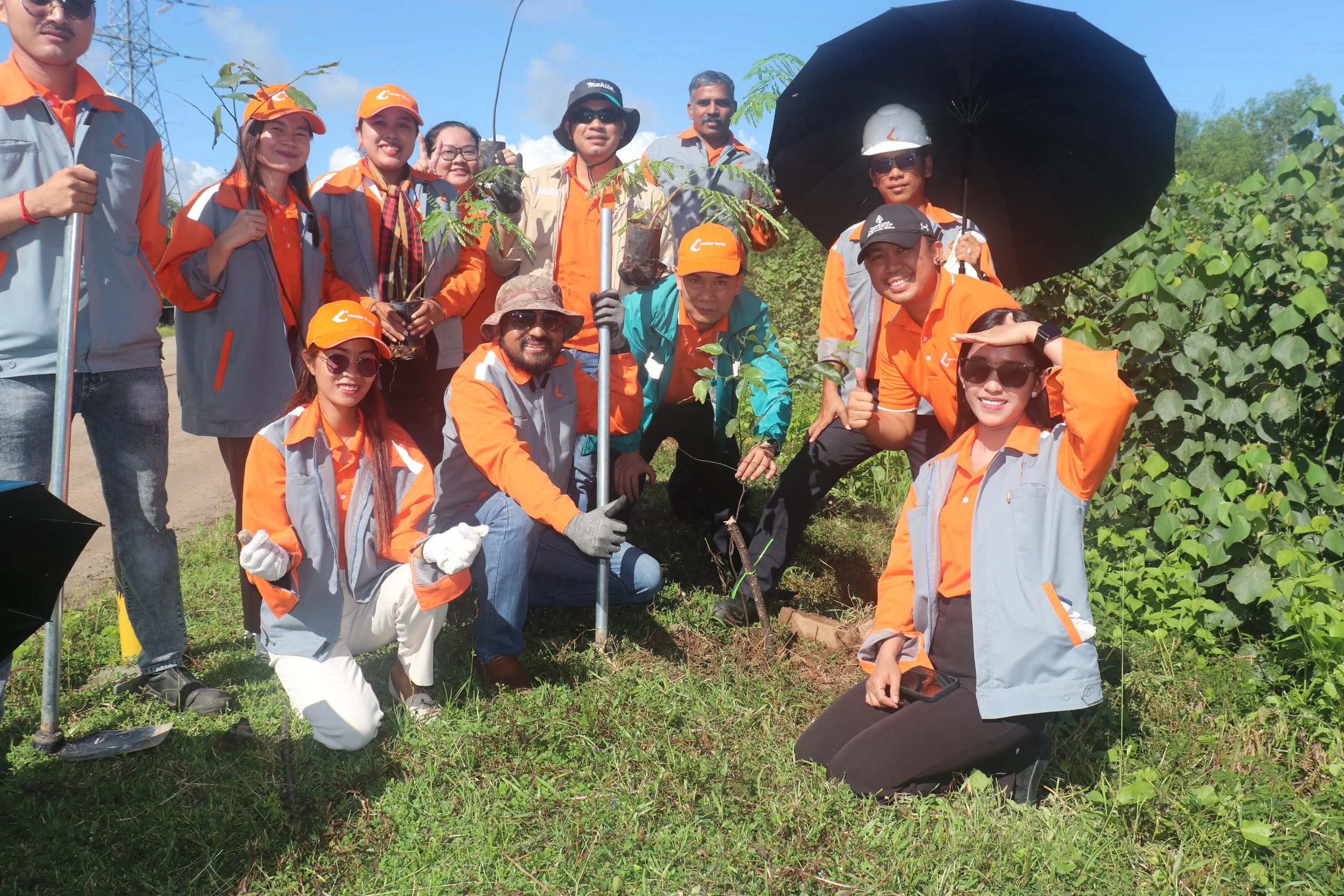 Tree Planting Activity