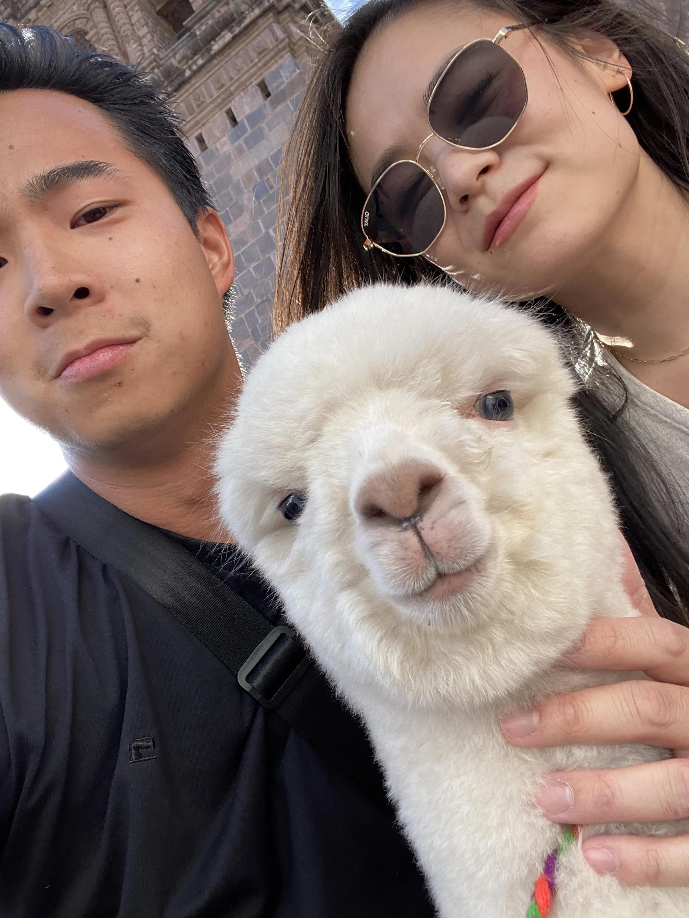 us3.jpg