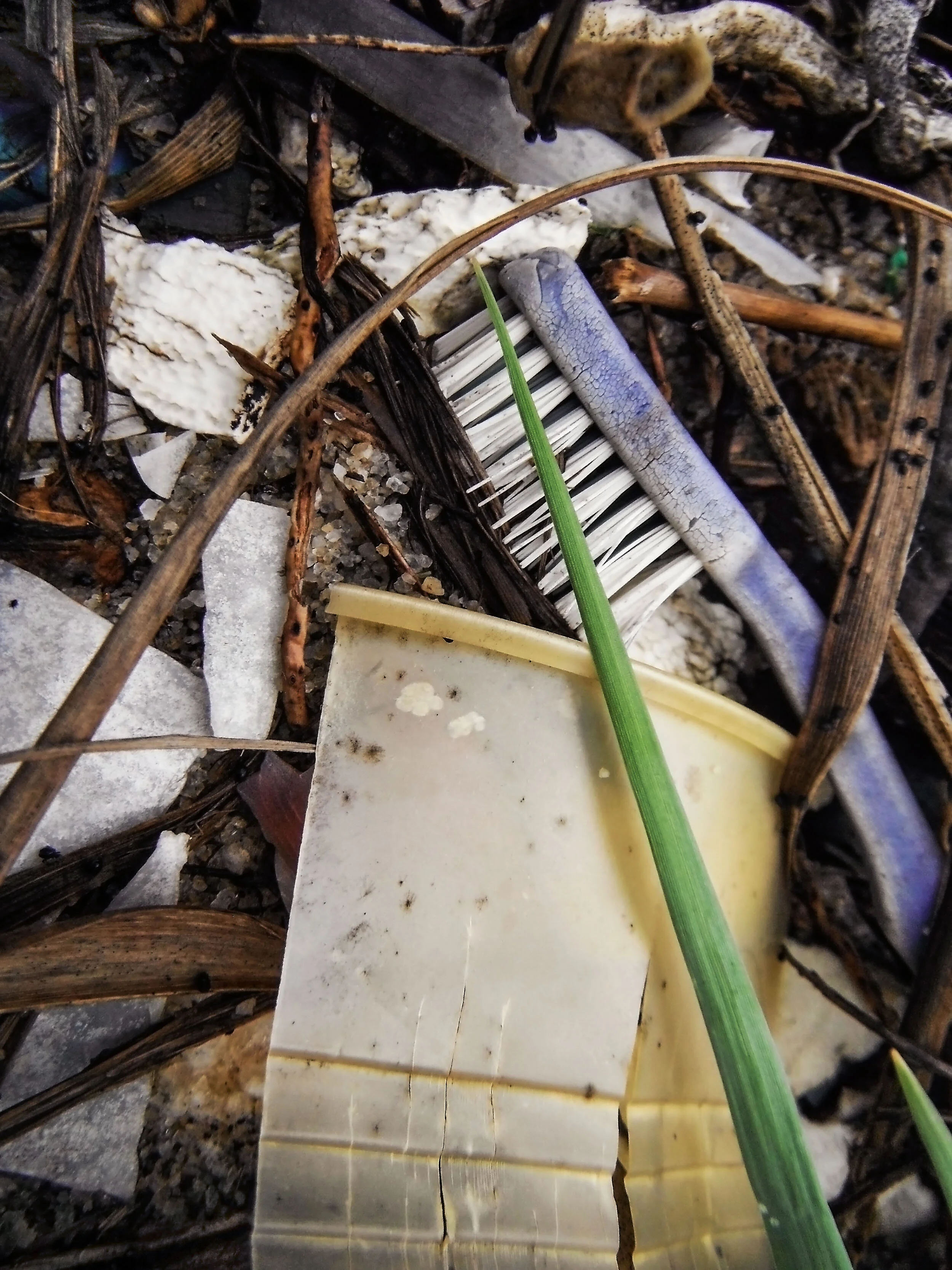 toothbrush.jpg