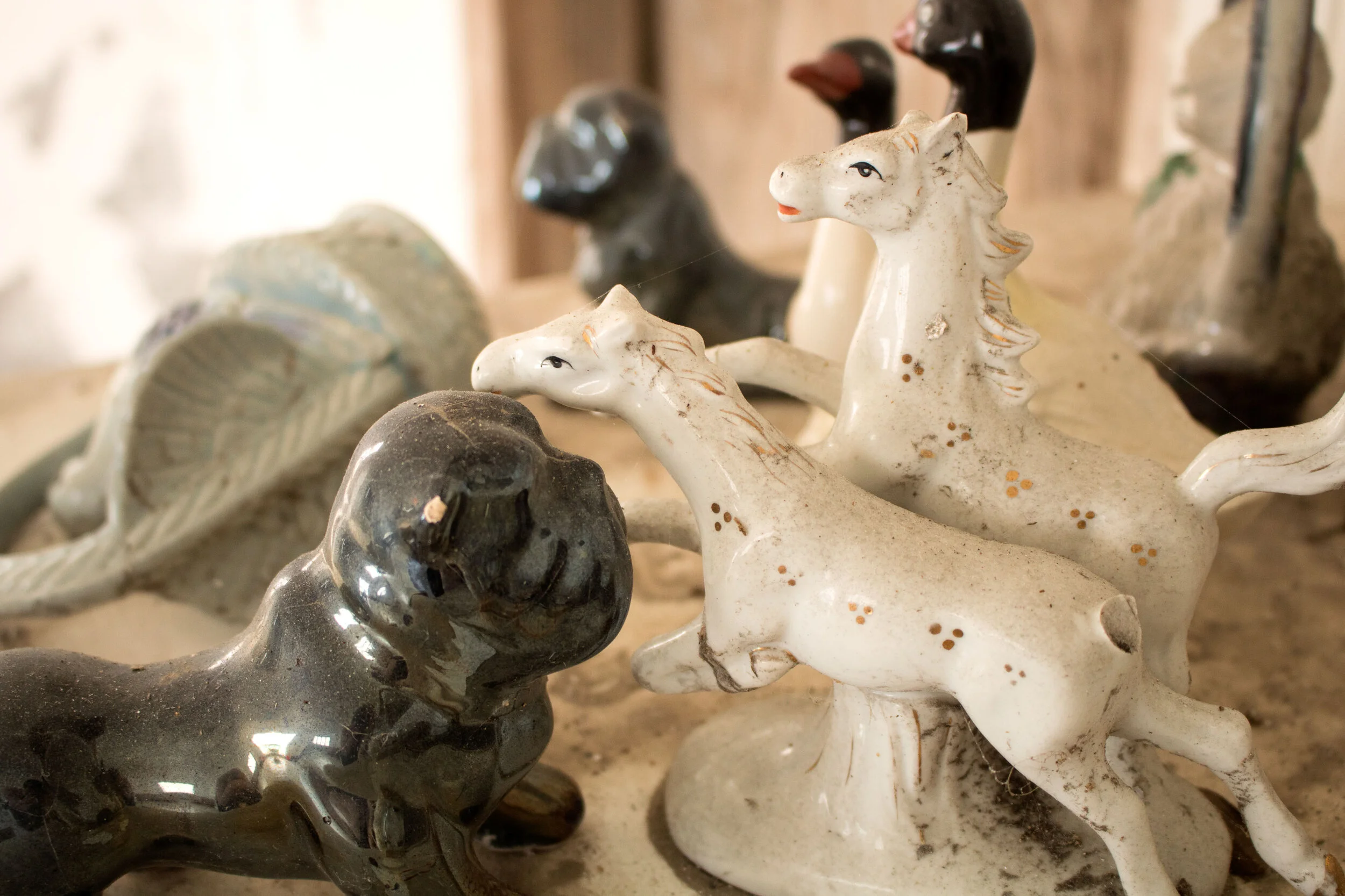 animals2by2.jpg
