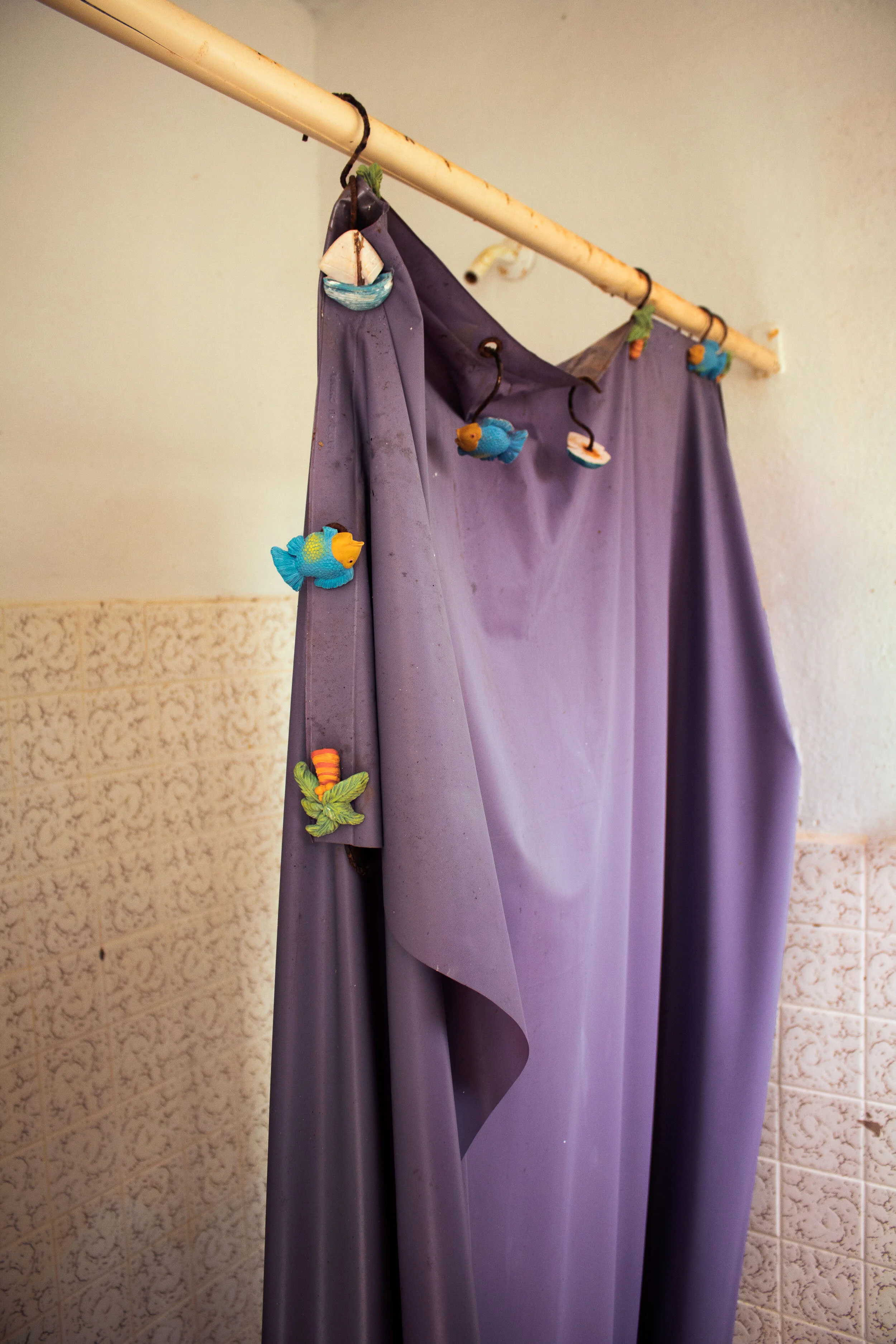 showercurtain.jpg