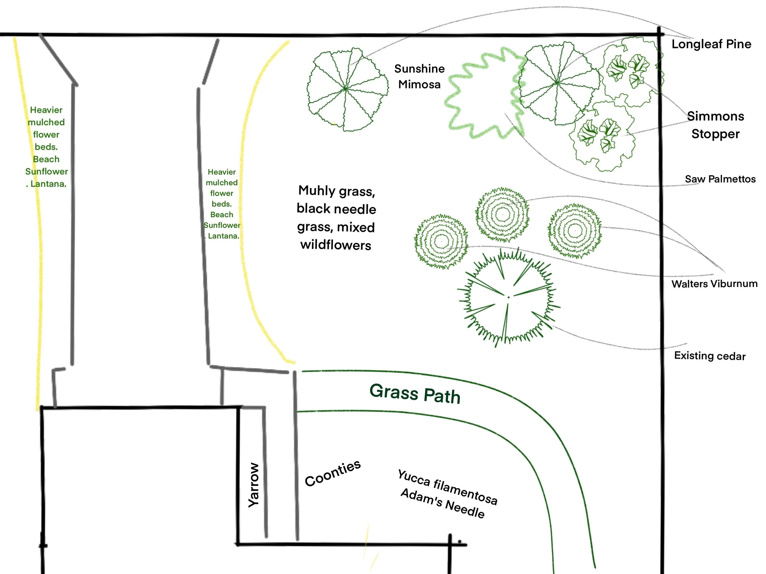 A detailed gardening or botanical diagram illustrating various plant species and their placement, including illustrations of Longleaf Pine, Sunshine Mimosa, Simmons Stopper, Saw Palmetto, Walters Viburnum, existing cedar, Muhly grass, black needle grass, mixed wildflowers, grass path, and mulched flower beds.