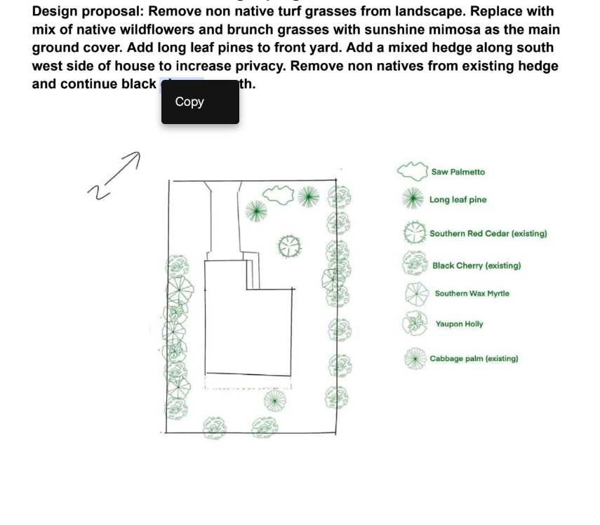 Landscaping plan with a house outline, trees, and shrubs, including Saw Palmetto, Long Leaf Pine, Southern Red Cedar, Black Cherry, Southern Wax Myrtle, Yaupon Holly, and Cabbage Palm, labeled on the right.