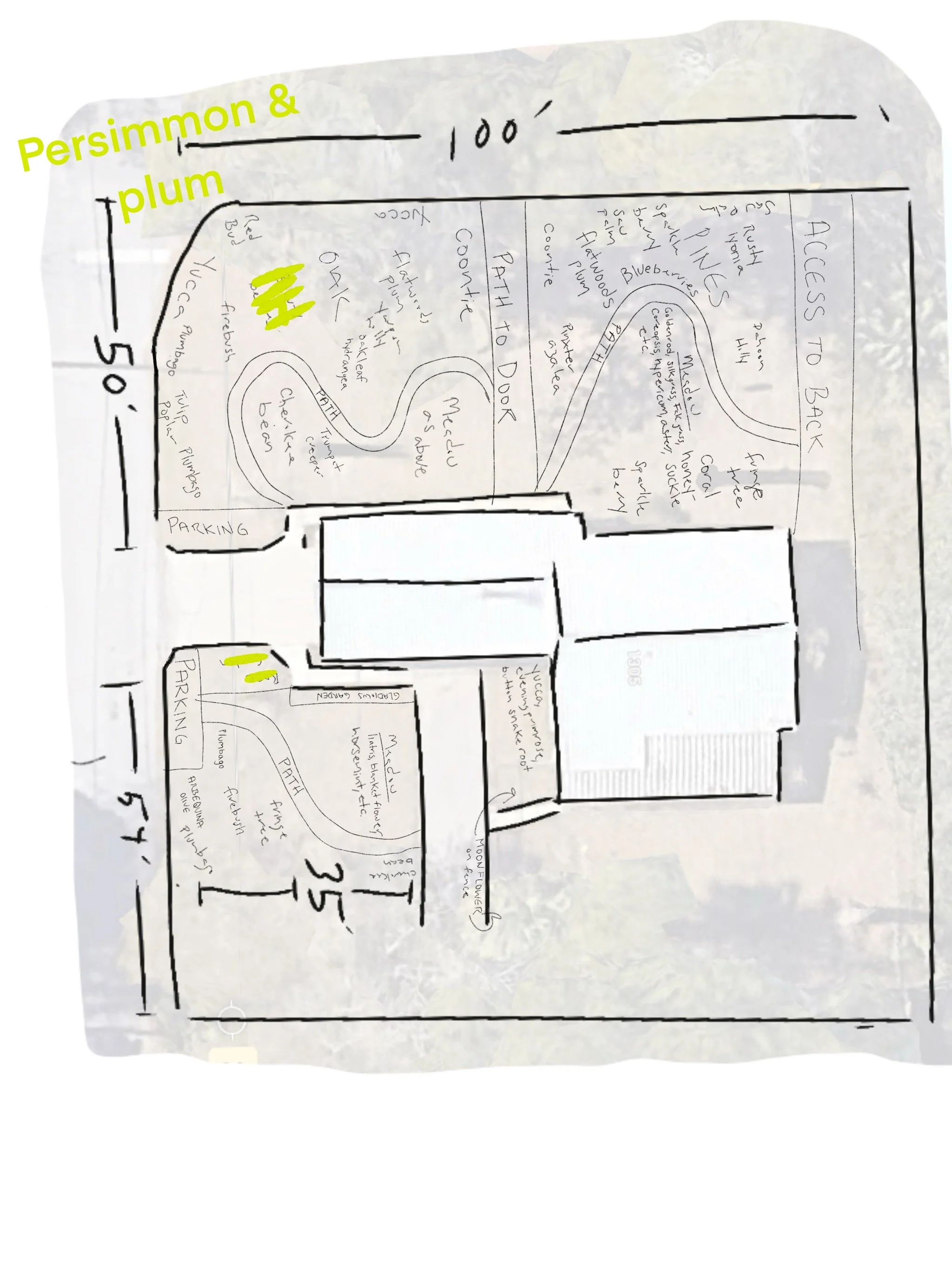 Hand-drawn layout of a backyard garden with various zones and plants labeled, including areas for herbs, fruit trees, vegetables, and flowers, with annotations for paths and features.