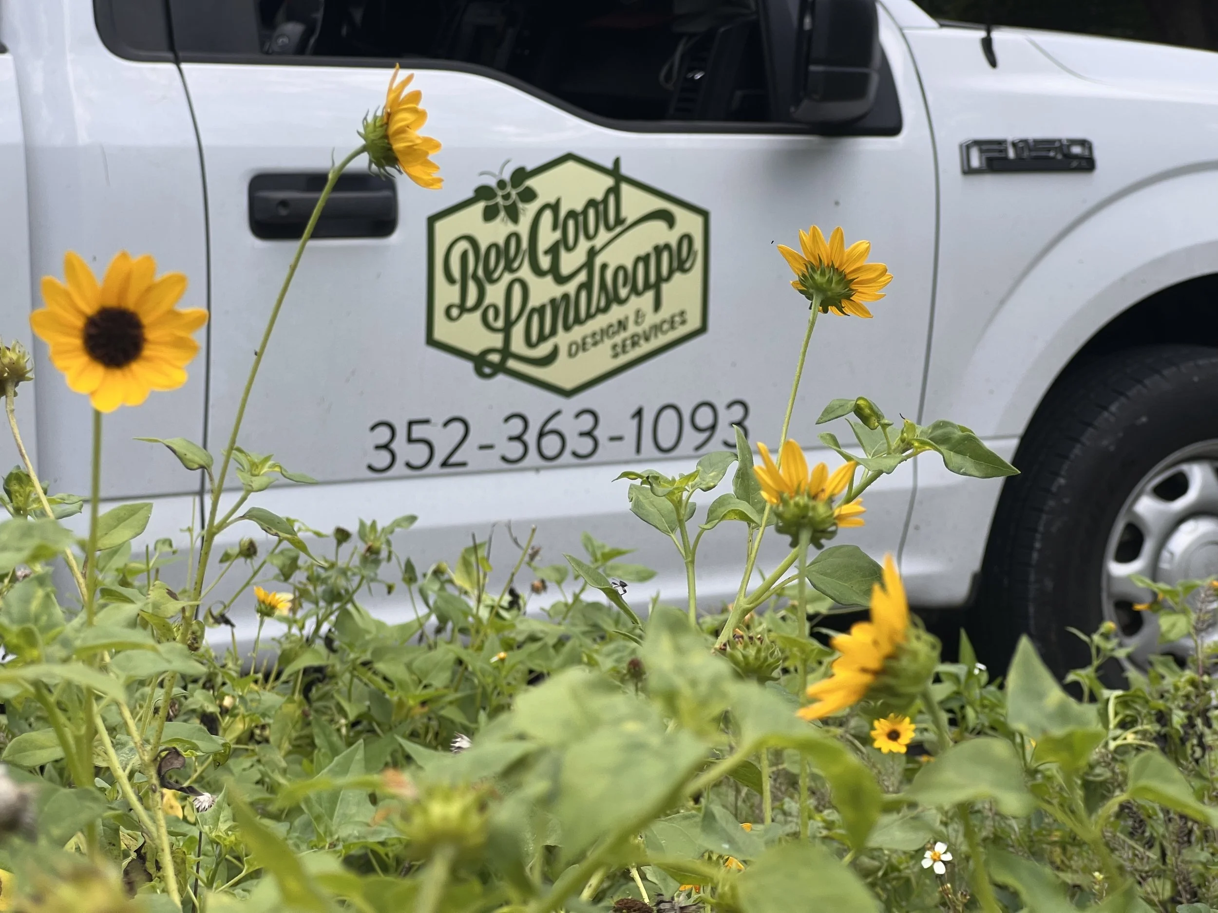 Yellow flowers in front of a white truck with a logo and contact information for 'Bee Good Landscape Design & Services'.