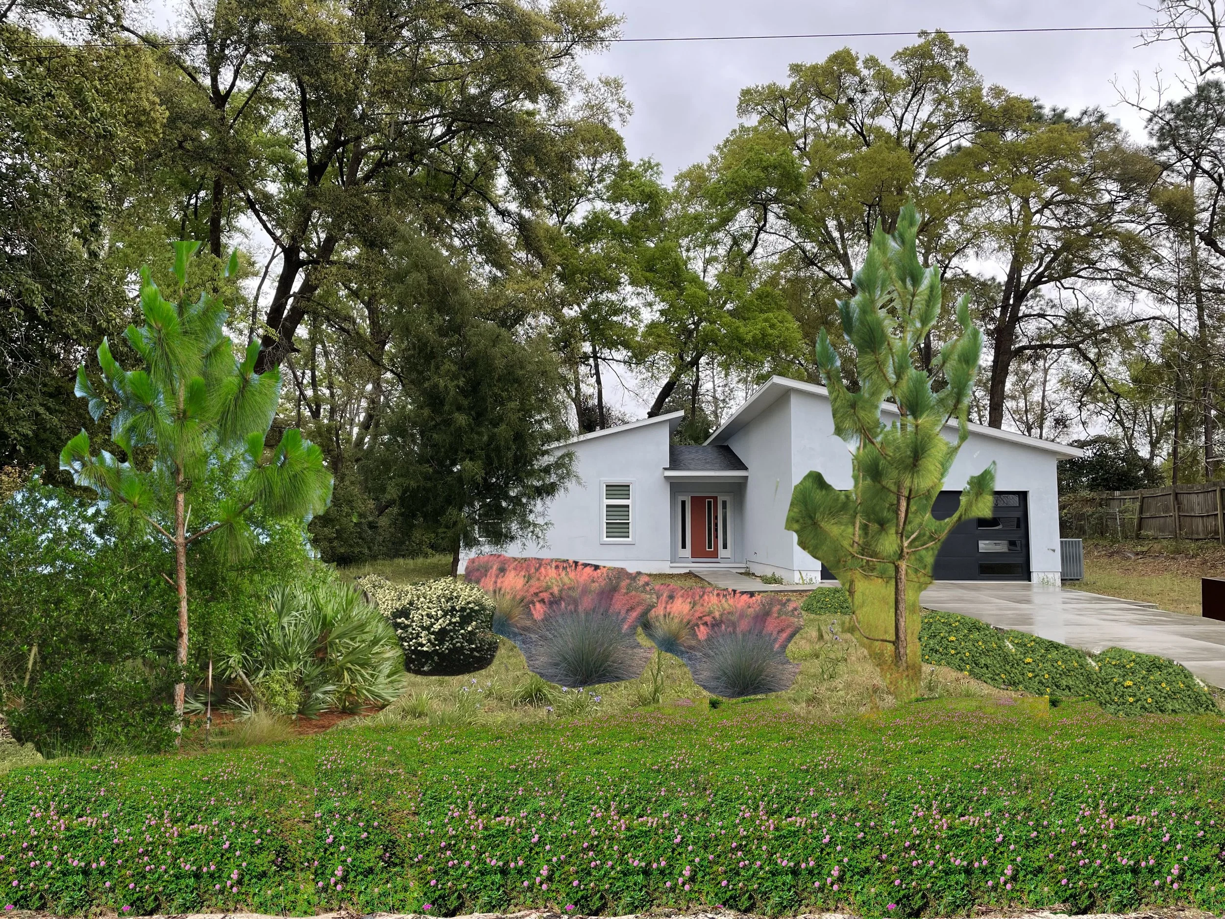 Modern white house with the front yard filled with colorful flowering plants, small trees, and a concrete walkway leading to the red front door, surrounded by a lush green lawn and tall trees in the background.