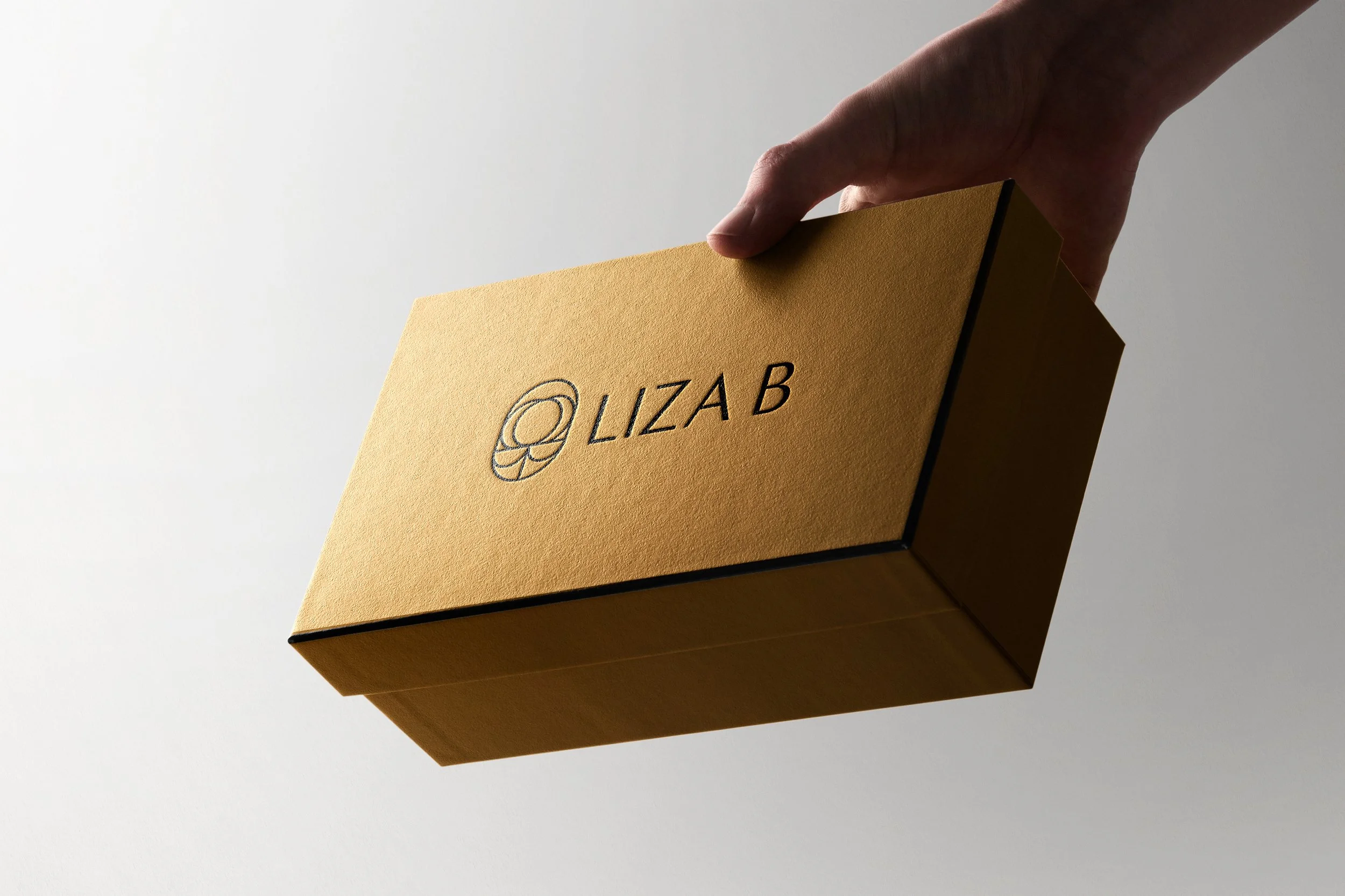LIZAB_Box.jpg