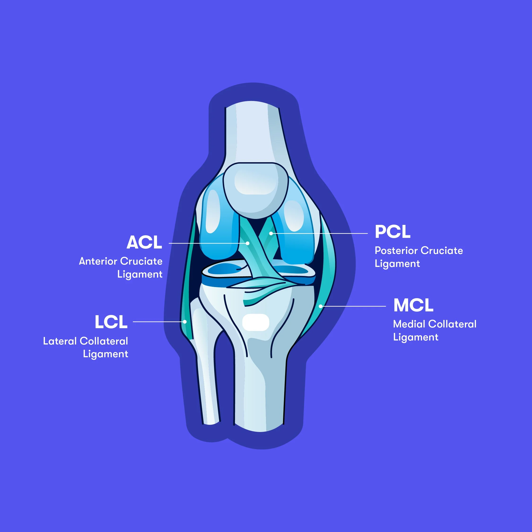 ConfluentHealth_MG-05.jpg
