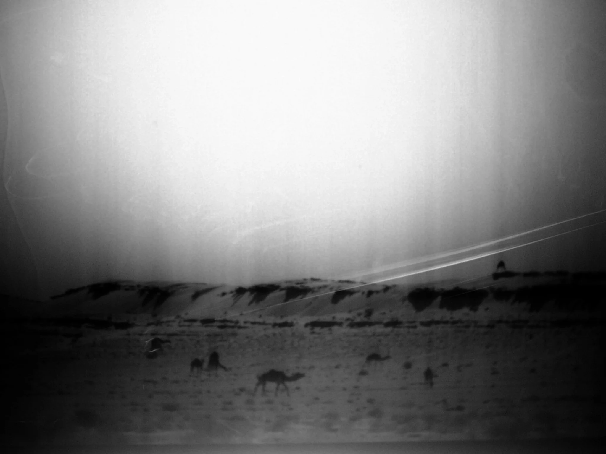 Grabados del Ojo Nocturno by Jean-Jacques Martinod