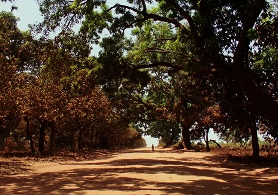 Amílcar documentary by Miguel Eek